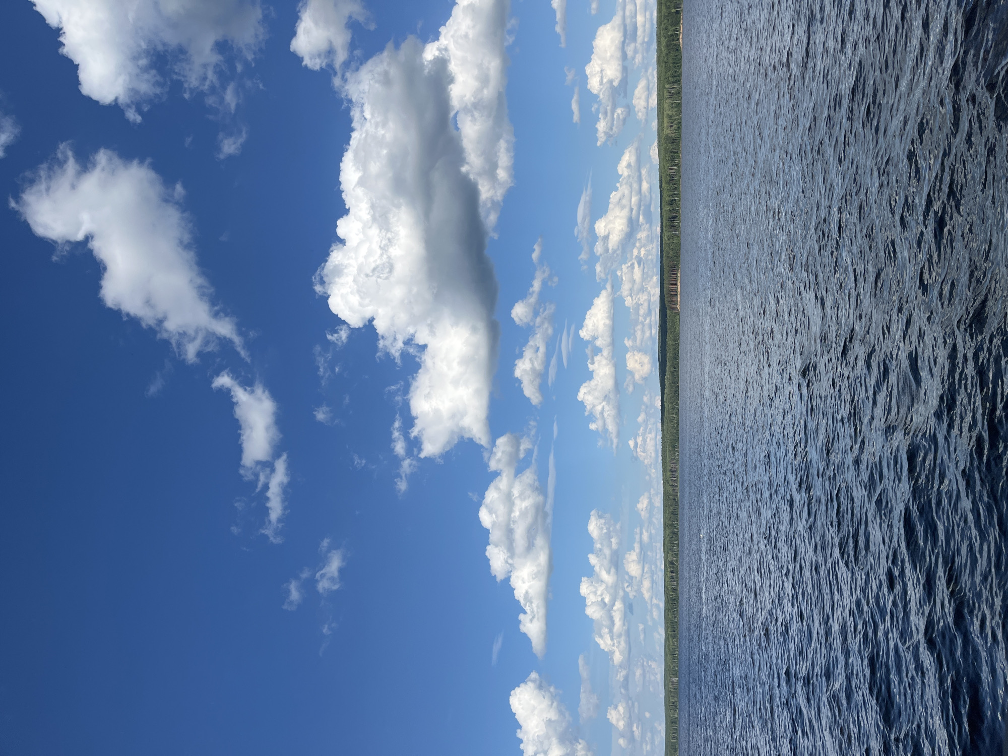 An expansive view captures the calm, rippled surface of a large body of water. The water is a deep blue, reflecting the clear sky above, with gentle waves creating texture across its expanse. In the distance, a dense line of green forest stretches horizontally across the horizon, with a subtle elevation suggesting rolling hills beneath the trees. Above the treeline, a vibrant blue sky is dotted with numerous white, puffy cumulus clouds of varying sizes, some casting faint shadows. The overall impression is one of natural serenity and open space, likely a scene from a lake or a wide river. The location is identified as being near the city of Chaikovsky, Russia.