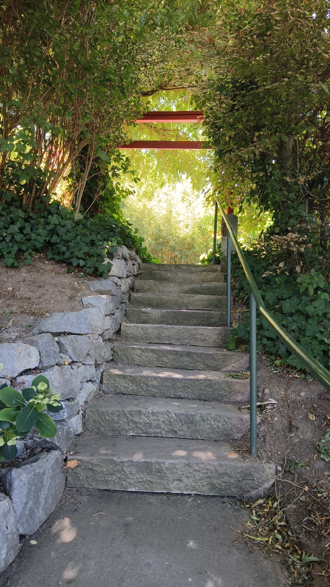 The image shows a set of stone stairs leading upwards through a lush green arbor. The stairs are made of rough-hewn stone slabs, and a green metal handrail runs along the right side. The arbor is formed by dense foliage, with branches and leaves creating a natural archway overhead. Sunlight filters through the leaves, creating dappled light on the stairs and surrounding ground. The scene is set in a garden or park environment. Based on the context, this location is likely in Langenlois, Austria, known for its vineyards and scenic beauty.