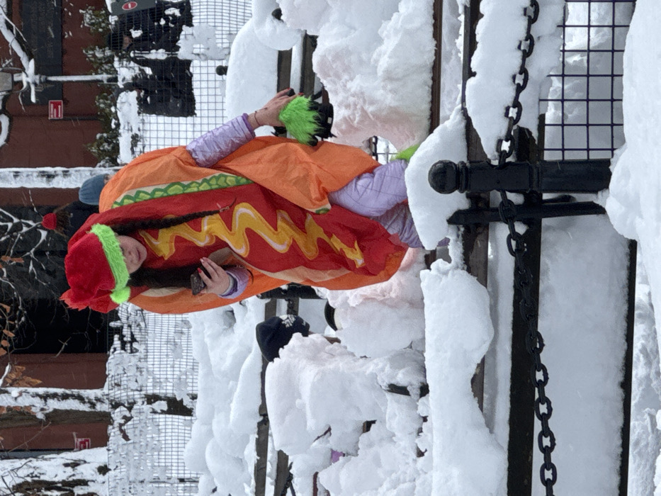 A person in a hot dog costume stands in a snowy environment. The individual is wearing a red and orange hot dog tunic with yellow "mustard" accents, paired with a red hat with green trim and what appears to be fuzzy green gloves. Snow heavily coats the fencing and chains behind the person, suggesting a recent snowfall. Other people and buildings are visible in the background.