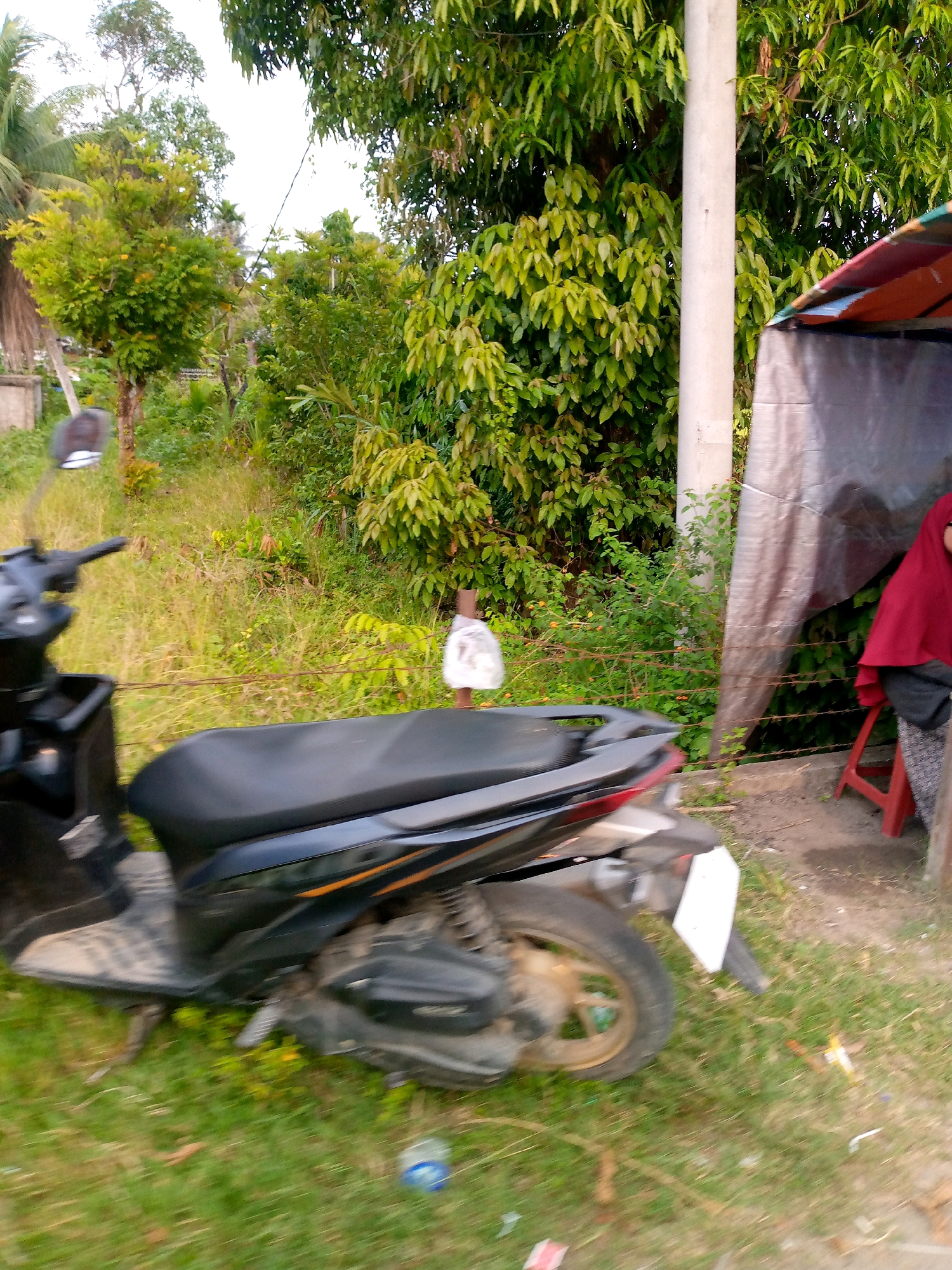 The image depicts an outdoor scene in what appears to be a rural or semi-rural area. In the foreground, a black scooter is parked on grassy terrain. The scooter has a black seat, visible handlebars with a mirror, and a white license plate at the rear. To the right of the scooter, a person wearing a red headscarf and a dark garment is seated on a red stool under a makeshift canopy constructed from a tarp. The canopy is supported by a light-colored pole, possibly concrete, which is also visible. The background consists of lush green vegetation, including trees with dense foliage and some smaller bushes. A barbed wire fence runs horizontally across the middle ground, separating the scooter and the seated individual from the denser vegetation. The overall impression is of a roadside resting spot or a small roadside stall. The presence of the scooter and the seated person suggests a moment of rest or waiting in a casual setting. The vegetation and the style of the canopy indicate a tropical or subtropical environment, consistent with Indonesia, and potentially the specific location of Kutaglumpang.