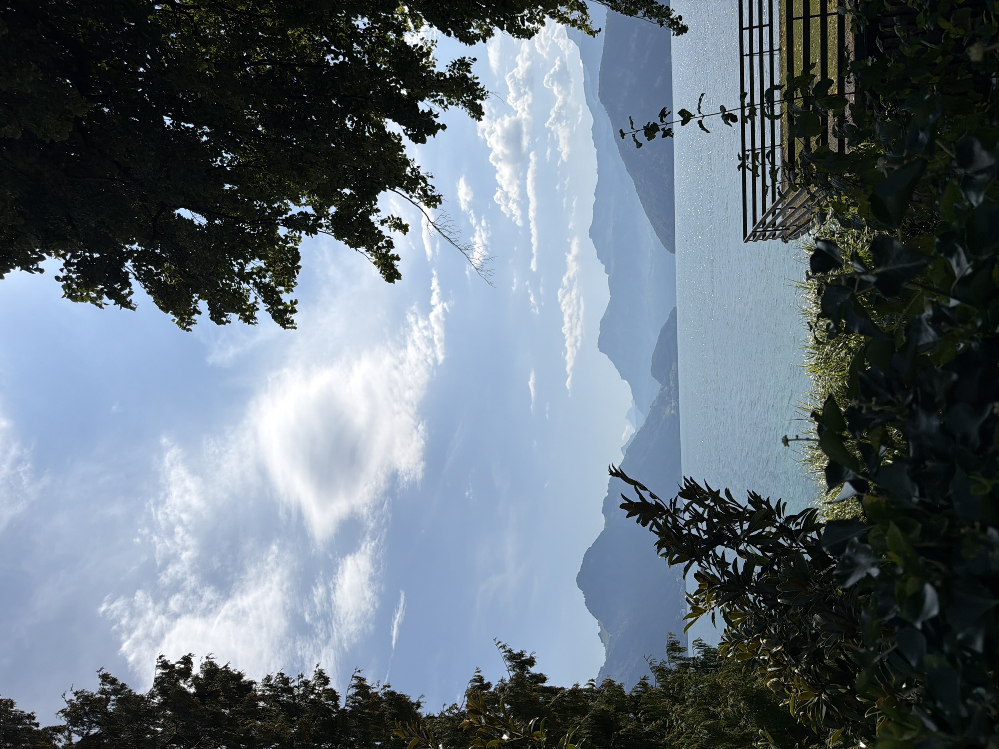 This is a vertical, eye-level, medium shot of a serene lake scene framed by lush greenery and distant mountains. In the foreground, dark green foliage dominates the left and bottom portions of the image, obscuring a portion of the lake and a wooden railing. A thin, silhouetted branch with delicate leaves extends from the top right, adding to the natural framing.
The middle ground features a wide, calm body of turquoise water, its surface shimmering with sunlight. Along the right edge of the lake, a dark brown wooden railing forms a fence, with a patch of green grass visible behind it.
In the background, a range of majestic, hazy blue mountains stretches across the horizon, their peaks softened by distance. The sky above is a vibrant blue, punctuated by scattered white clouds, some wispy and others more substantial. Sunlight filters through the clouds, casting a bright glow on the scene. No people or animals are visible in the image.