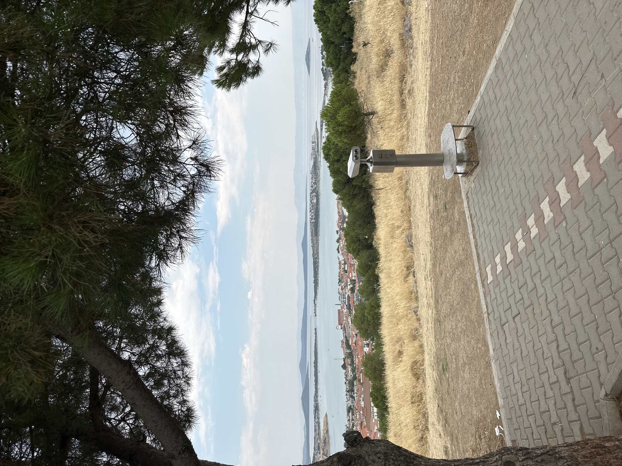 The image shows a scenic overlook of the city of Ayvalık, Turkey. In the foreground, a large tree trunk frames the left side of the view, with its branches extending across the top of the frame, obscuring some of the sky. Below the tree, a paved area with interlocking gray and red brick pavers leads towards the overlook. A metal viewing scope with a small shelf attached to its base is positioned on the paved area, facing the cityscape and the sea.
Beyond the paved area, a gentle slope covered in dry, golden grass descends towards the city. The city itself is nestled along the coastline, characterized by numerous buildings with red-tiled roofs. The clear blue sea stretches out beyond the city, dotted with a few boats. In the distance, several islands and hills are visible, forming a layered horizon under a sky with scattered white clouds. The overall impression is one of a calm, picturesque vista of a coastal town.