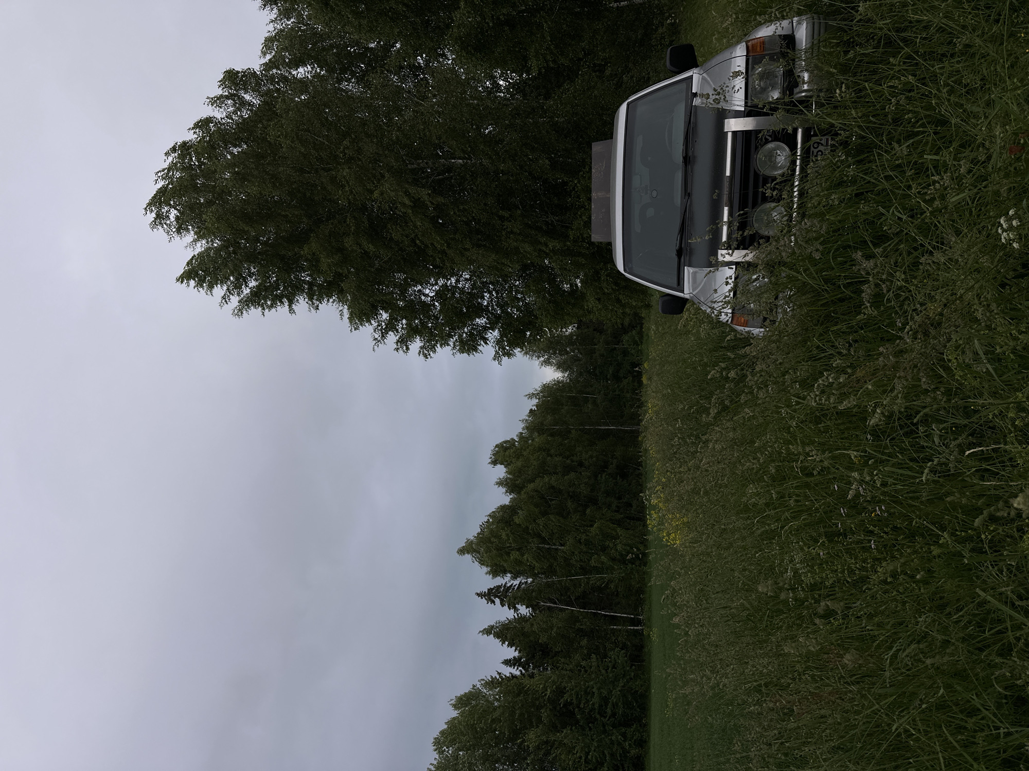 A silver SUV is partially obscured by tall, green grass in a rural setting. The vehicle has a dark hood and what appear to be auxiliary lights mounted on the front grille. Behind the car, a dense forest of green trees stretches across the horizon under a cloudy, overcast sky. The foreground is dominated by the lush grass, with some yellow wildflowers visible in the mid-ground. The overall impression is one of a remote, natural landscape. The location is identified as Shul'dikha, Russia. There are no people visible in the image.
