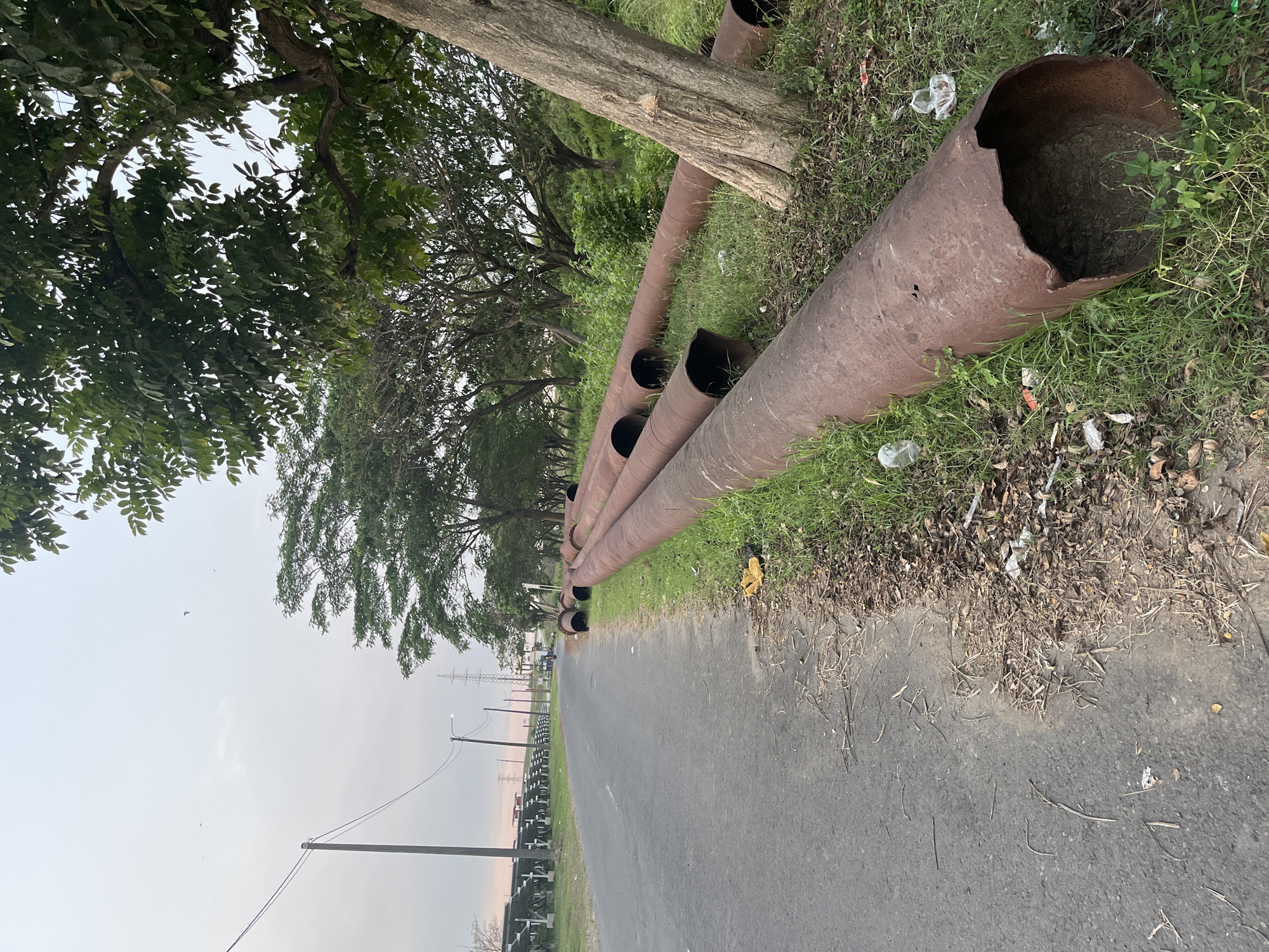 A street scene in Besuki, Indonesia, features a paved road with a grassy verge lined with several large, rusty pipes. The pipes are laid horizontally on the grass, appearing to be discarded or awaiting installation. A large tree trunk is visible next to the pipes, its bark textured and aged. Beyond the pipes, a line of smaller trees forms a dense, leafy backdrop. In the distance, power lines and transmission towers are visible, suggesting proximity to industrial or utility infrastructure. The sky is overcast, with a pale, diffused light indicating it is either early morning or late afternoon. There are no people prominently visible in the scene, though a motorcycle can be seen on the road in the distance, with what appears to be a small solar panel farm on the left side of the road. The overall impression is one of an undeveloped or transitional area within the city.