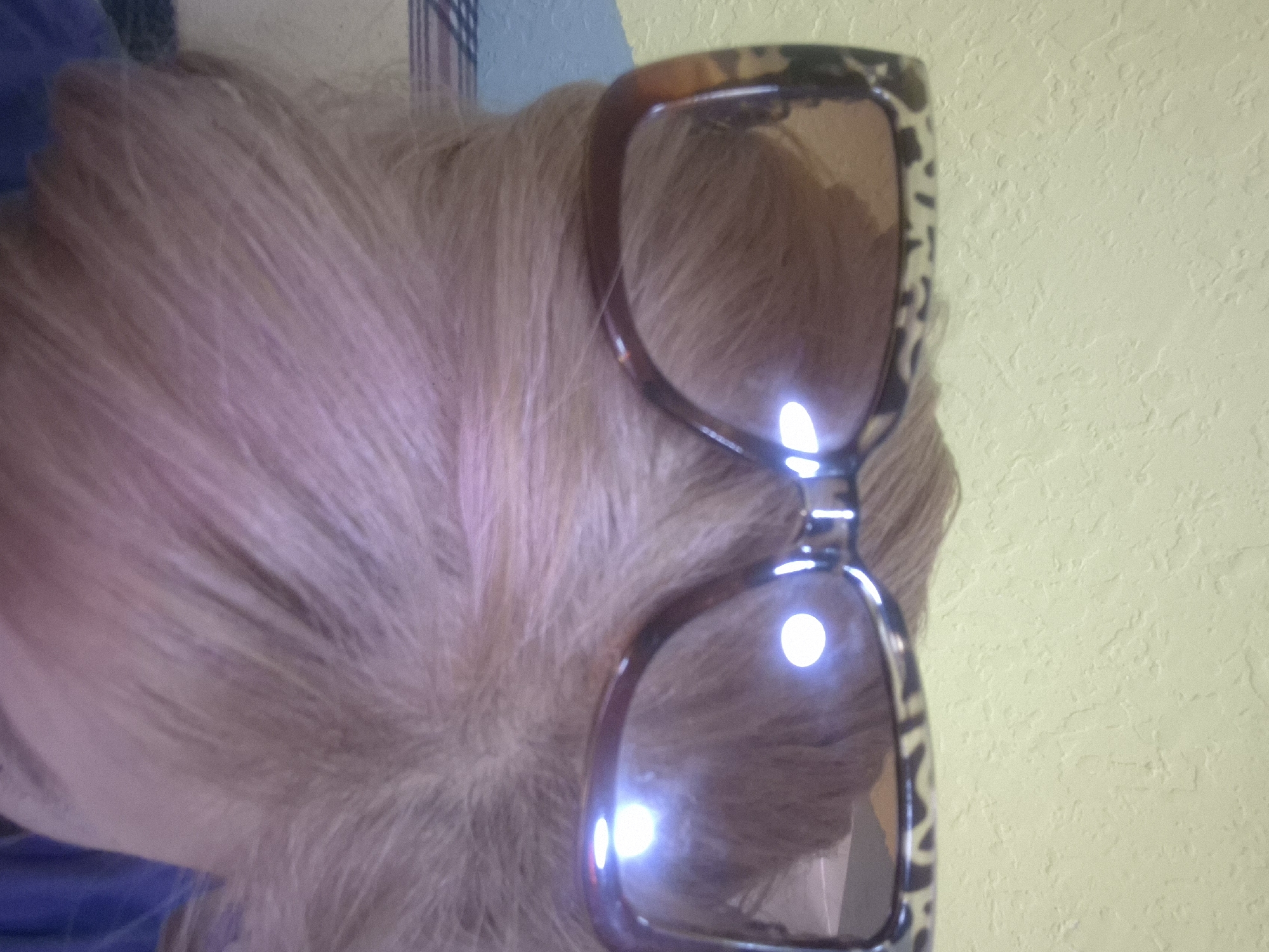 This is a close-up, slightly distorted image of a person's head wearing large, square-shaped sunglasses with a leopard print frame. The lenses are tinted and reflect bright light. The person's light-colored hair is visible, and it appears to be styled loosely around the face. The background consists of a textured yellow wall and a portion of a blue and striped surface. The image does not provide any information about the location in Yerevan, Armenia.