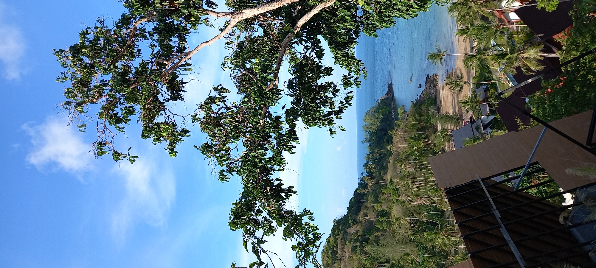 The image shows a scenic view from what appears to be an elevated platform or building in Baan Wang Ta Kien, Thailand. In the foreground, a tree with dense green leaves partially obscures a view of the sky, which is blue with scattered white clouds. In the middle ground, there is a view of a beach with palm trees, a calm, light blue sea, and a headland with dense vegetation. In the foreground right corner there is a wooden and metal structure, indicating construction or building. There are no people visible in the image.
