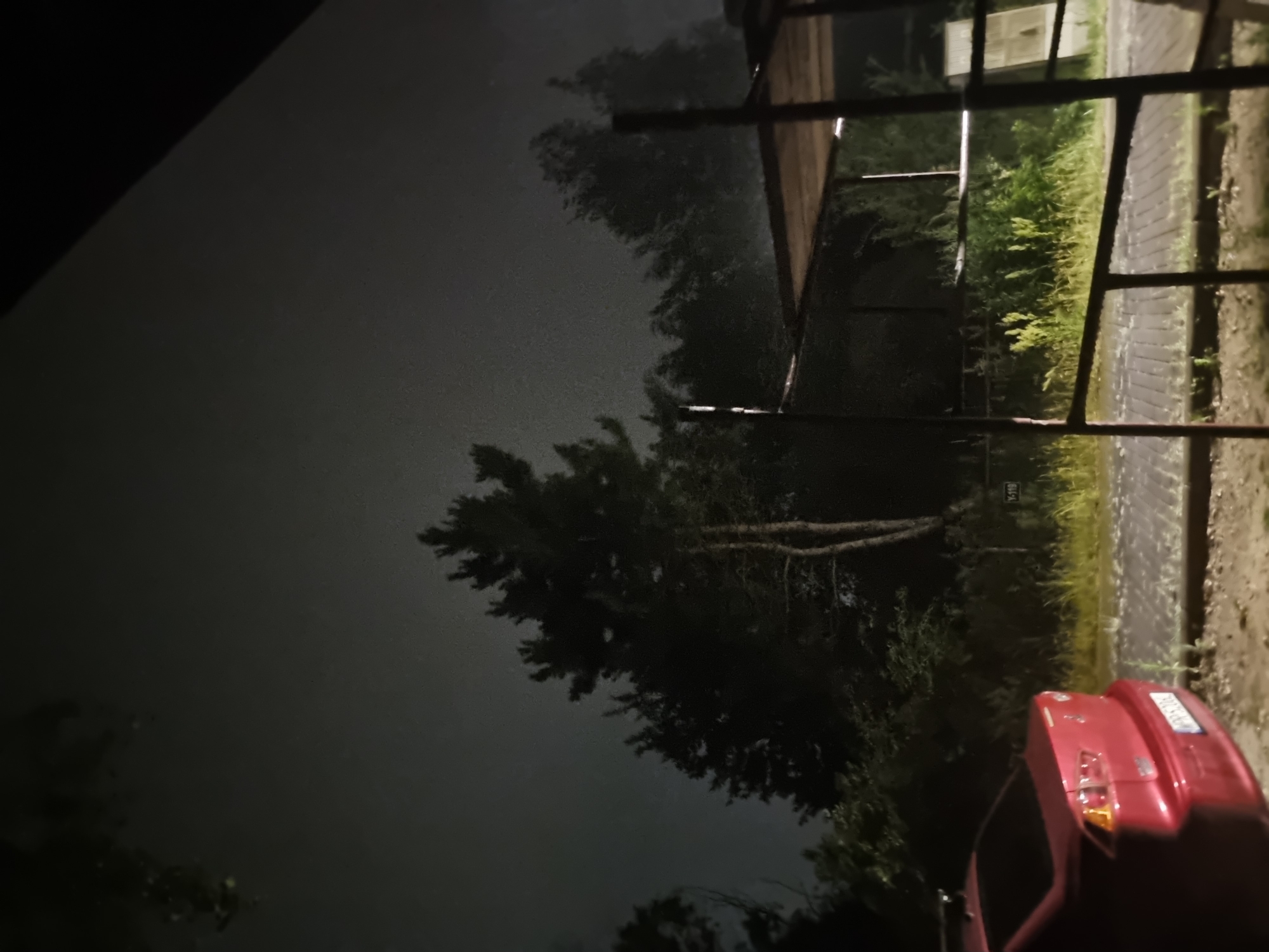 The image captures a dimly lit outdoor scene, possibly during twilight or at night, with a dark, overcast sky. In the foreground on the left, the rear of a red sedan is visible, parked on a paved surface that appears to be brick or cobblestone. Behind the car and extending across the mid-ground are dense trees and foliage, silhouetted against the sky. The trees are dark and their shapes are indistinct due to the low light. In the right mid-ground, a simple wooden structure, likely a shelter or carport with a sloped roof, is present. The structure is supported by dark posts and bars, and some vegetation is visible growing around and beneath it. The ground in front of the structure appears to be a mix of dirt and gravel. There is a sign visible on a post behind the trees with the text "Y-119". The overall atmosphere is somber and quiet, with no people visible in the frame. The image is grainy, suggesting it was taken with a camera in low-light conditions.