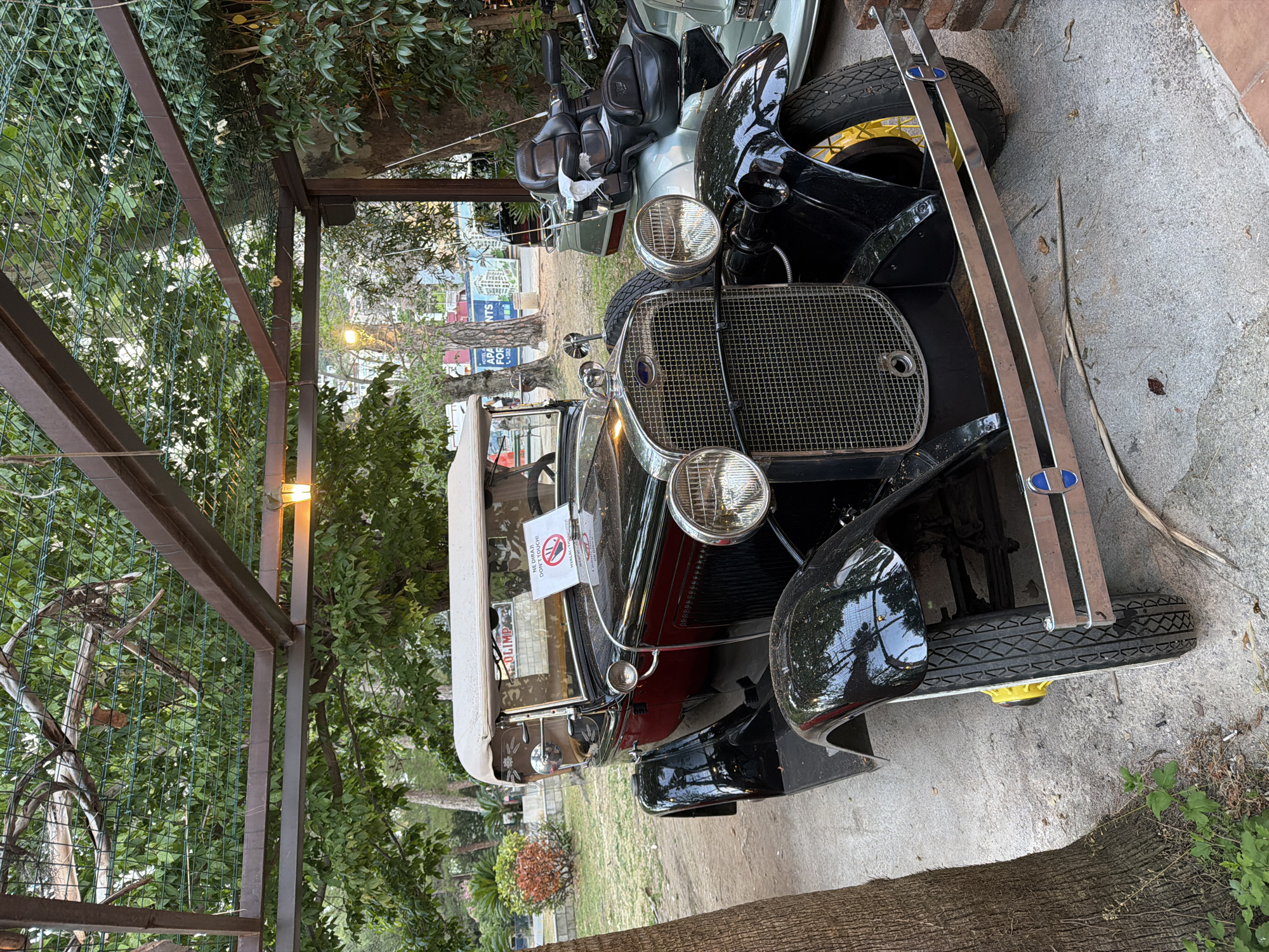 The image, rotated 90 degrees clockwise from its natural orientation, displays a vintage black car parked outdoors under a metal pergola draped with green mesh and lush foliage. The car, a prominent subject, features a distinctive chrome grille with a blue emblem (resembling a Ford logo), large circular headlights, and bright yellow wheel hubs. Its front bumper consists of two parallel chrome bars. A light-colored canvas canopy is partially extended over the passenger compartment.
A white sign is visible on the car's windshield, displaying a "no touching" symbol (a red circle with a hand) and the text "PERIKALI DON'T TOUCH!" along with a website address, "www.olimpe...". This suggests the car is on display.
Behind the vintage car, a silver-grey scooter or motorcycle is partially visible. The immediate ground surface beneath and around the vehicles is concrete. The overall setting is very green, with numerous trees and dense vegetation surrounding the pergola, suggesting a garden or park-like environment. A thick tree trunk is visible in the lower right foreground. In the background, through the trees, faint signs with text like "APA FOR NTS" can be seen, possibly indicating nearby apartments or a commercial area. Artificial lights are mounted on the metal pergola structure, one of which is illuminated. The lighting indicates daytime, possibly late afternoon or an overcast day. No people are explicitly visible, though reflections on the car's glossy fender might hint at observers. The scene portrays a static exhibit of classic vehicles in a verdant, outdoor setting, consistent with areas found in Budva, Montenegro.