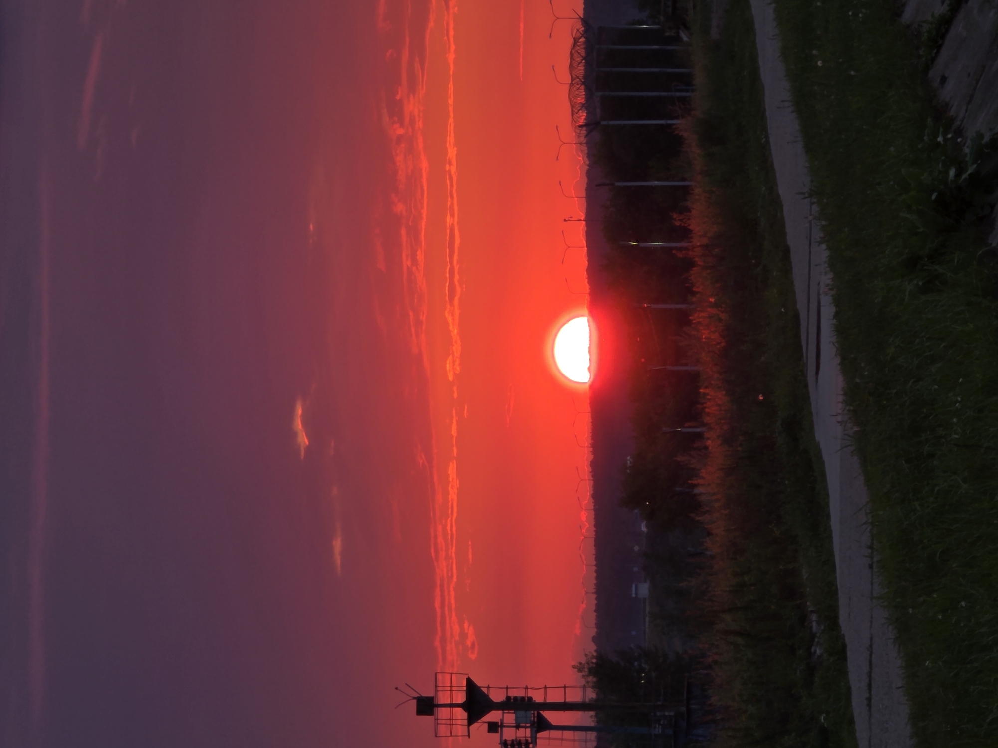 The image depicts a vibrant sunset over the city of Chaikovsky, Russia. The sky is a gradient of deep purples and fiery reds, with wispy clouds illuminated by the setting sun. The sun itself is a bright, almost blinding orb just above the horizon, casting a warm glow over the landscape. In the foreground, tall grass and vegetation line a paved path. Silhouettes of industrial structures, including what appear to be communication towers or lighting fixtures, are visible on the left side of the image. Further in the background, a line of streetlights stretches across the horizon, punctuated by a barbed wire fence and more industrial structures. The overall scene is one of natural beauty meeting man-made infrastructure at dusk.