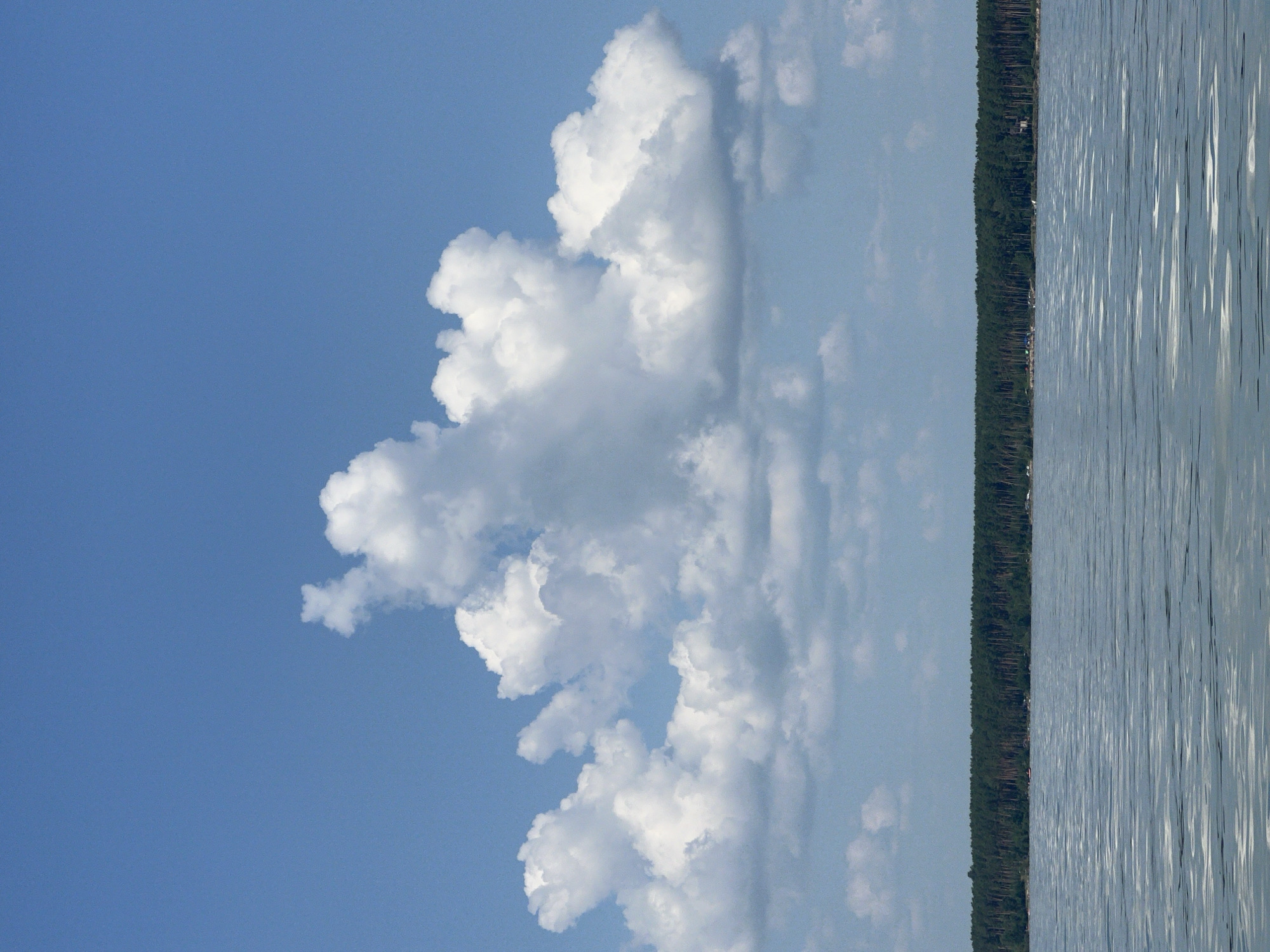 The image depicts a wide shot of a body of water with a dense forest line in the background. The sky is a clear blue with a prominent formation of fluffy white clouds stretching across the middle of the frame. The water has a slightly rippled surface, reflecting the light from the sky. The forest is a uniform green, suggesting a collection of coniferous trees, and appears to run horizontally across the entire width of the image. The bottom of the image is dominated by the water, while the top two-thirds are the sky and clouds. There is no indication of the city of Borovoye, Russia within the visible scene.