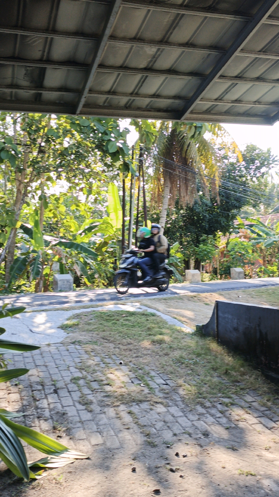 Two individuals are riding a black scooter on a paved road in Cintaratu, Indonesia. The person in the front is wearing a black shirt and blue jeans, with a bright green helmet. The person in the back is wearing a tan jacket and dark pants, also with a helmet. They are riding past lush green foliage, including banana trees and palm trees, suggesting a tropical or subtropical environment. The road appears to be in a rural or semi-rural area, with a brick pathway and some dry grass visible in the foreground. Sunlight filters through the trees, casting shadows on the ground. A corrugated metal roof structure is visible at the top of the image, potentially indicating a nearby building or shelter.