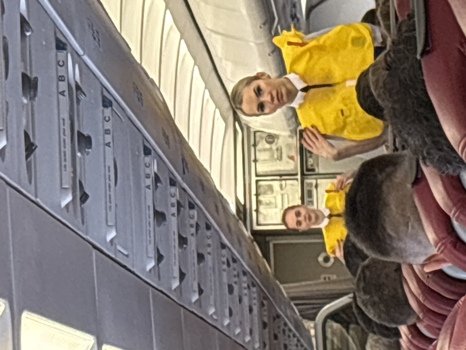 The scene is set within an aircraft cabin in the city of Novogorelovo, Russia. Two female flight attendants are visible in the mid-ground, performing a pre-flight safety demonstration. The flight attendant on the right, with blonde hair, wears a white collared shirt, black tie, and a yellow life vest, demonstrating its use with her right hand on her left shoulder. The flight attendant on the left, with auburn hair, is also in a white collared shirt, black tie, and yellow life vest, seemingly demonstrating another aspect of the vest. Both women face forward towards seated passengers. The foreground shows the tops of multiple passengers' heads and reddish-brown seat headrests. The overhead panels of the aircraft cabin are visible, featuring passenger service units, air vents, and seat row indicators marked "A B C." Text like "life vest under your seat" is faintly discernible on some panels. A galley or service area with closed compartments is visible behind the flight attendants.