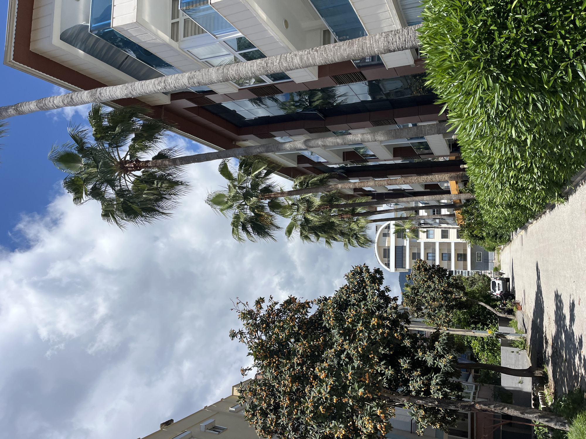 The image depicts a street view in Alanya, Turkey, characterized by a combination of modern architecture and natural elements. Palm trees line the street, with their trunks and foliage extending toward a modern building with reflective windows. A building with yellow fruits is also visible in the foreground. A light-colored pathway runs along the right side of the image, with green shrubbery and trees bordering the path. In the distance, a white building with a unique, curved architectural element is present. The sky is partly cloudy with a mix of blue and white hues. A vehicle can be seen parked along the street. The image suggests a residential or commercial area with well-maintained landscaping.