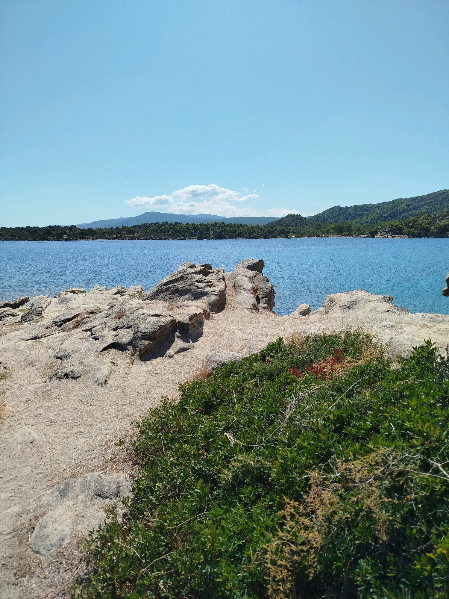 The image depicts a rocky coastline with lush green vegetation in the foreground, overlooking a calm, blue body of water. In the distance, rolling, tree-covered hills meet a clear, pale blue sky. A single, wispy cloud is visible near the horizon. The scene is characteristic of the coastal areas within the Sithonia Municipal Unit of Greece, likely a less developed, natural shoreline. The lighting suggests it is daytime, with bright sunshine casting shadows on the rocks. There are no people or man-made structures visible in the frame.