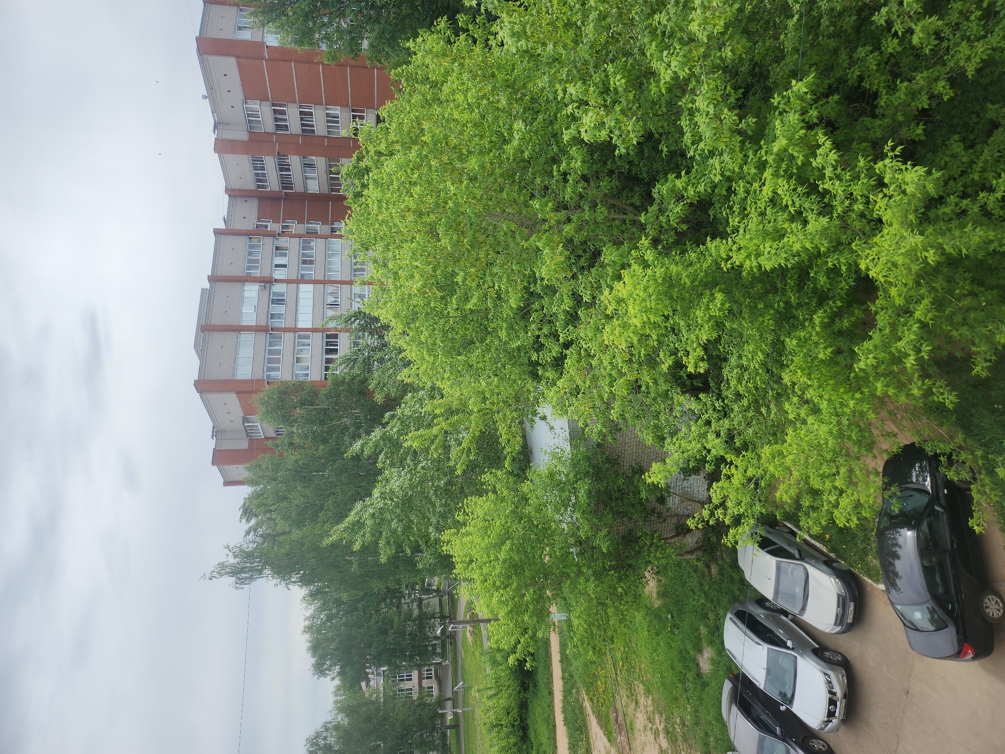 The image shows an exterior view in an urban setting, likely in Unknown, Unknown. The scene features a multi-story brick building on the left side of the frame, partially obscured by trees. Lush green foliage, comprising various trees and shrubs, dominates the central and right portions of the view. A small parking area is present, housing several parked cars of different colors, including silver and black. A pathway or dirt road is visible along with some grassy areas. The sky is overcast, suggesting a cloudy day. There are no people visible in the scene.