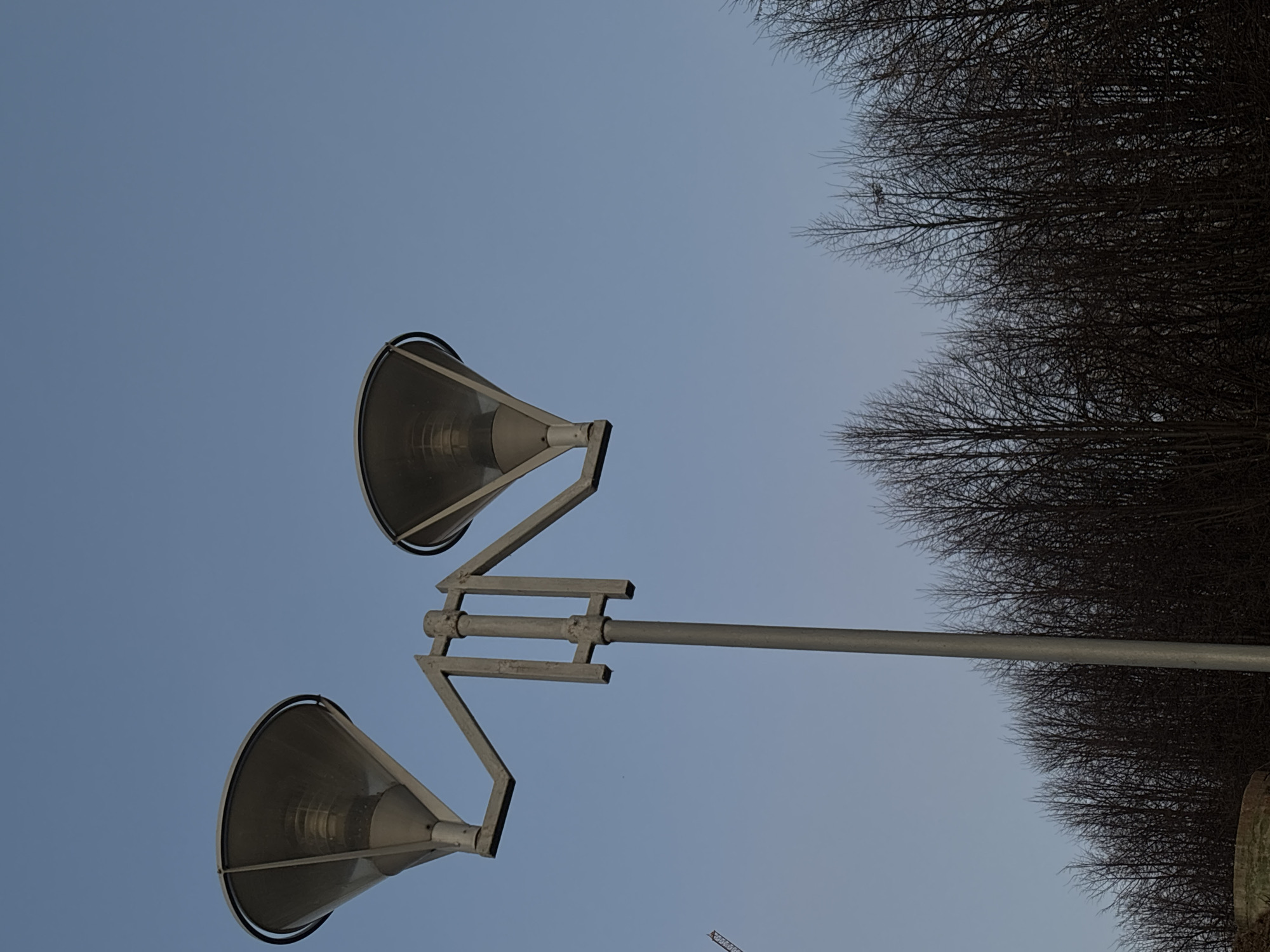 The media file displays a street light with two large, conical light fixtures against a light blue sky and a background of dense, bare tree branches. The street light pole extends diagonally from the lower-left to the upper-right of the frame. Two grey metallic, cone-shaped fixtures, each with a black rim and an internal light source visible, are attached to the pole via angular metal supports.
The sky, a clear and uniform light blue, fills the lower-left and central parts of the image. The upper-right portion is dominated by a mass of dark, intricate, and leafless tree branches, indicative of late autumn or winter. A tiny, dark object, possibly a bird, is perched on one of the branches near the top edge. A faint, distant industrial structure or crane is barely visible in the bottom-right corner.
The scene portrays a clear daytime setting. The bare trees suggest a cold season. No specific activity or event is taking place, and no people are visible. There is no discernible text in the image. The location is Izhevsk, Russia.