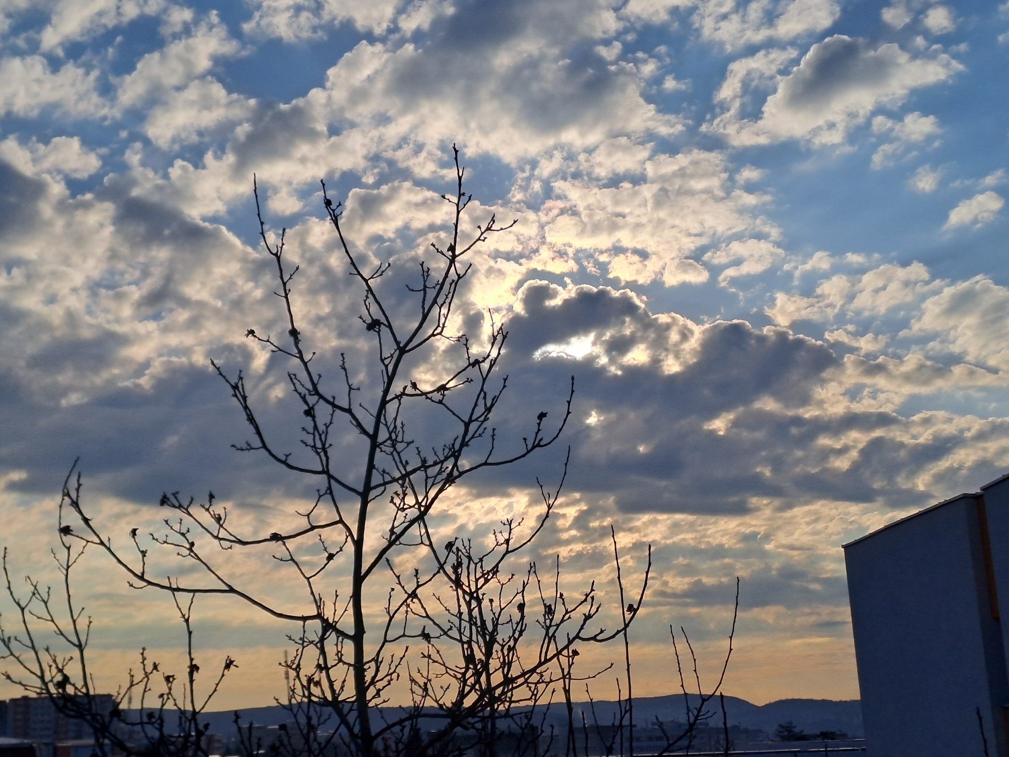 The image shows a bare tree in the foreground against a cloudy sky. The clouds are a mix of white and gray, with the sun partially obscured behind them. In the lower portion of the frame, there's a cityscape visible, including buildings and a distant hill. The light suggests it may be a sunrise or sunset. A building with a light-colored exterior is also visible on the right. The location is Unknown, Unknown.