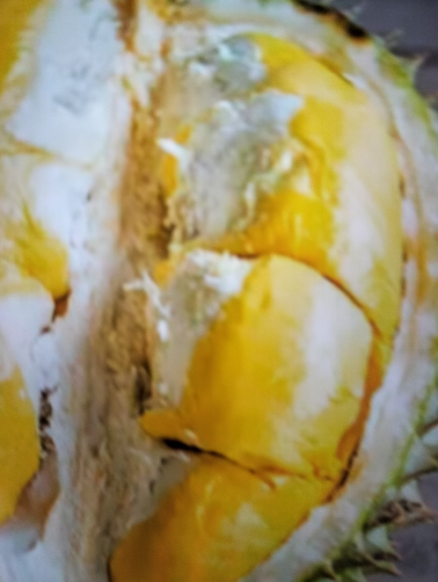 The image is a close-up, blurry shot of the interior of a durian fruit, showing the yellow flesh and white pith. The fruit appears to be cut open. No other objects or individuals are visible in the image. The image does not contain any information about the location of Payagaboh, Indonesia.