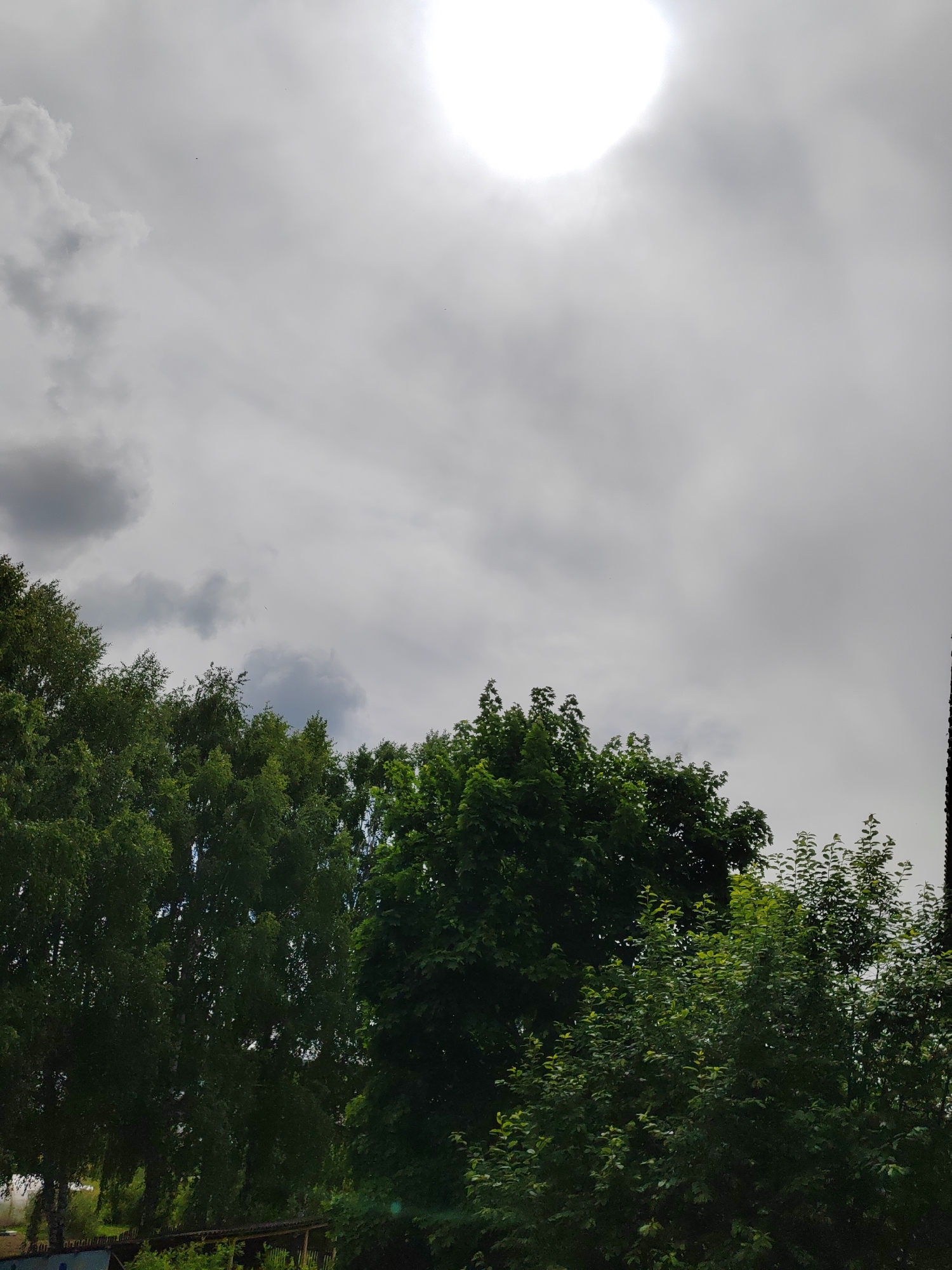 The image captures an outdoor scene dominated by an overcast sky and lush green trees. The upper half of the frame is filled with a bright, overexposed sun, partially obscured by a diffuse layer of light grey clouds, creating a strong glare. Scattered across the lighter cloud areas are a few tiny, dark specks, possibly birds or insects. Towards the left and center of the sky, darker, more defined cumulus clouds are visible.
The lower half of the image features a dense canopy of vibrant green trees. On the left, tall trees with slender leaves, possibly birches, form a thick, dark green mass. Toward the center and right, trees with broader, denser leaves are visible. At the very bottom left, faintly visible through the foliage, are hints of what appear to be man-made structures, such as a roof or fencing.
The scene takes place during the daytime, likely in the morning or afternoon, with the sun breaking through significant cloud cover, indicating cloudy or overcast weather. The setting appears to be a natural or semi-natural environment, possibly a park, forest edge, or a suburban/rural area. No specific activity is taking place, and there is no visible text.