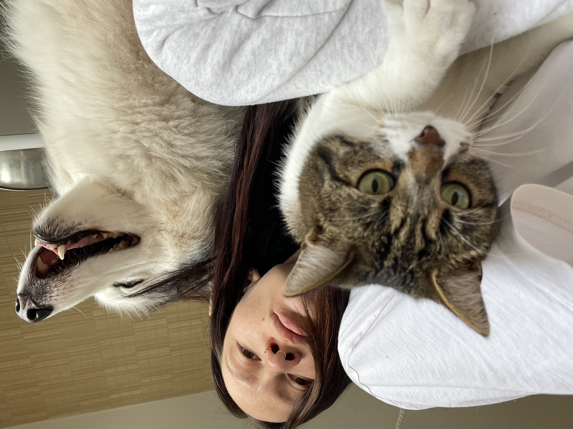 A selfie captures a woman, her cat, and a dog. The woman, facing the camera, has dark hair, a nose ring, and fair skin. A tabby cat with green eyes is positioned above her. To the left, a white dog with its mouth open reveals teeth. The background features a beige wall and a metal object. The image is upside down. There is no information to suggest this image was taken in Izhevsk, Russia.