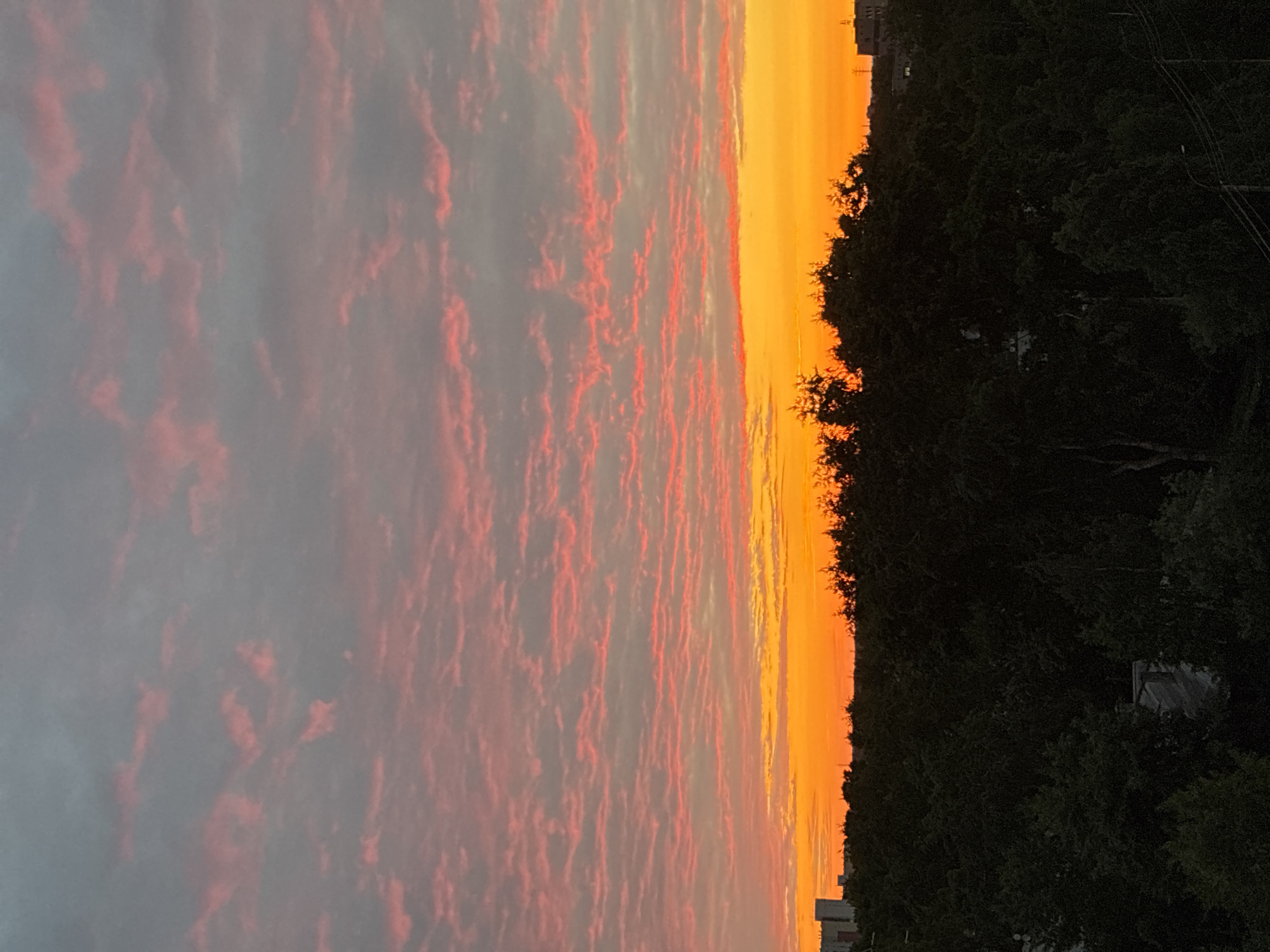 The image captures an expansive view of a sunset or sunrise over a dense treeline within the city of Unknown, Unknown. The sky displays a striking chromatic gradient, transitioning from a dark greyish-blue at the top, through a wide band of numerous, horizontally-aligned, pinkish-red altocumulus-like clouds, to an intense orange and yellow glow at the horizon. The uppermost clouds are primarily grey with faint pink tinges. Below the vibrant sky, a dark, undulating canopy of deciduous and coniferous trees forms a prominent silhouette across the lower third of the frame. Scattered among and above the treeline are structural elements: a light-colored, rectangular building with a flat roof is partially visible on the far left, while less distinct, darker buildings are discernible on the far right, with a few illuminated points suggesting windows. In the lower right corner, utility poles and power lines are visible, extending diagonally upwards into the frame, indicating the presence of urban infrastructure. No individuals or specific actions are depicted within the scene.