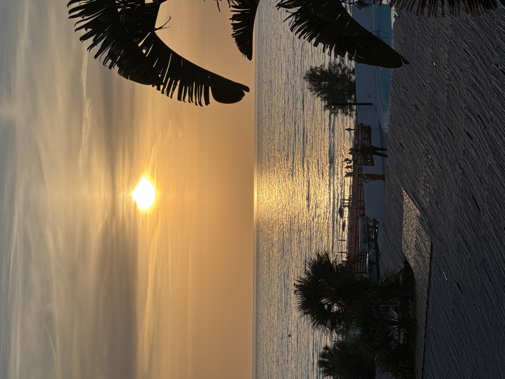 This media file captures a beautiful sunset over the sea, likely in Capaci, Italy, as indicated by the location context. The image appears to be rotated 90 degrees clockwise; when viewed correctly, the horizon is horizontal.
The primary subject is the sun, a brilliant, glowing orb positioned on the left side of the frame, near the horizon. Its intense golden light illuminates the sky and creates a dazzling reflection that stretches across the water towards the viewer.
In the foreground, large, dark silhouettes of palm fronds frame the top left and top right corners of the image. On the right side, a textured surface, possibly a wooden boardwalk or paved area, runs alongside the water. Along this edge and on what appears to be a pier or platform extending into the water, several silhouetted figures of people are visible, suggesting they are observing the sunset. Smaller, dark foliage, likely palm trees or bushes, also appears in silhouette on the lower right.
The sky above the horizon is painted with warm orange and yellow tones near the sun, gradually fading into lighter blues and greys higher up, with delicate streaks of clouds. The sea surface is calm, entirely covered in the shimmering golden reflection of the sun, highlighting the tranquil atmosphere. There are also a few small, dark shapes on the water further out, possibly boats or buoys.
The image clearly depicts the time of day as sunset, with clear weather and calm waters, evoking a sense of peace and natural beauty. There is no visible text in the image.