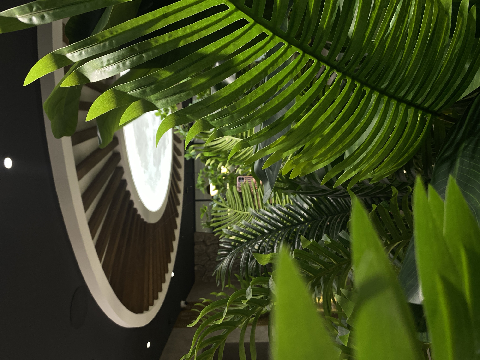 The image depicts an interior scene with a focus on foliage and architectural elements. In the foreground, lush green plants, including ferns, dominate the view. These plants are positioned in a way that partially obscures the background elements.
In the background, a circular or spiral-shaped structure with a white border and brown-toned interior elements is visible. This structure appears to be mounted on a dark-colored wall. The overall lighting of the scene is bright, casting shadows and highlighting the textures of the plants and architectural elements.
The image suggests an indoor space decorated with greenery and an architectural design element. There is no evidence to suggest that this image is in Votkinsk, Russia.