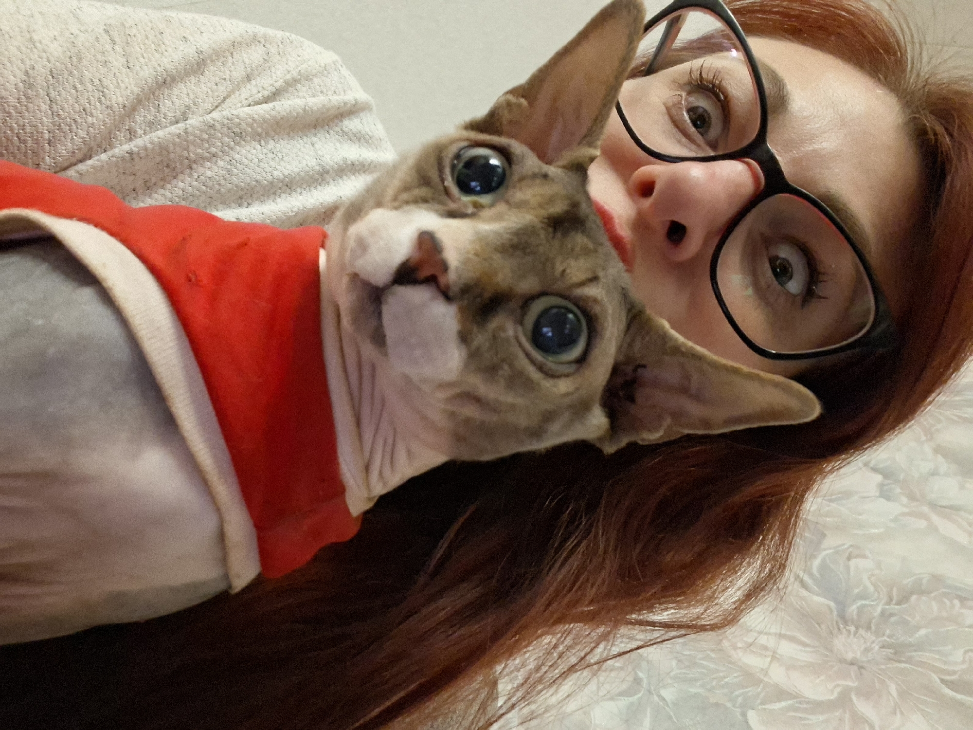 A close-up, waist-up shot shows a woman with auburn hair and glasses holding a Sphynx cat wearing a red garment. The woman's eyes are wide and looking at the camera. The cat's large, blue eyes are also directed at the viewer. The background is a light-colored wall with a floral pattern. The image appears to be taken indoors.