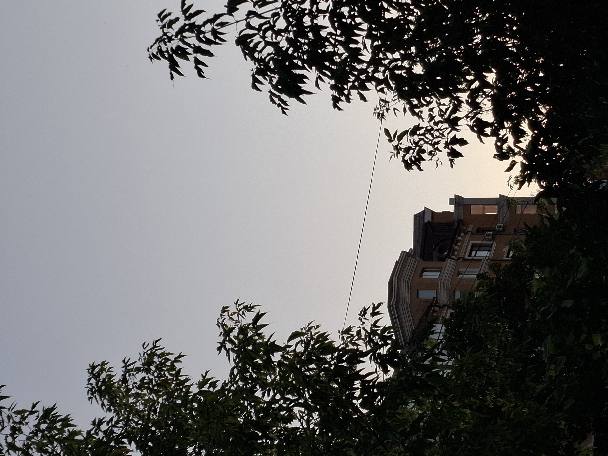 This is a photograph taken outdoors, likely in an urban setting, with trees framing the view of a building. The sky is a pale, neutral color, suggesting either early morning or late evening. On the left and right sides of the frame, the dark silhouettes of leafy tree branches are visible, obscuring parts of the sky and the building.
The building in the background is a multi-story structure with an ornate facade. It appears to be made of light-colored masonry, possibly stone or stucco, with decorative cornices and detailing around the windows. Some windows are visible, and a few appear to be lit from within. A dark-colored roofline with dormer windows is also discernible. A thin, dark horizontal line, likely a wire or cable, is stretched across the upper portion of the building.
The image does not contain any discernible people, animals, or specific actions. The focus is on the architectural structure and the surrounding natural elements. The lighting suggests a time of day when natural light is diffused. There are no clear indicators of the specific location within Ryazan, Russia, beyond the general assumption of an urban environment with buildings and trees.
