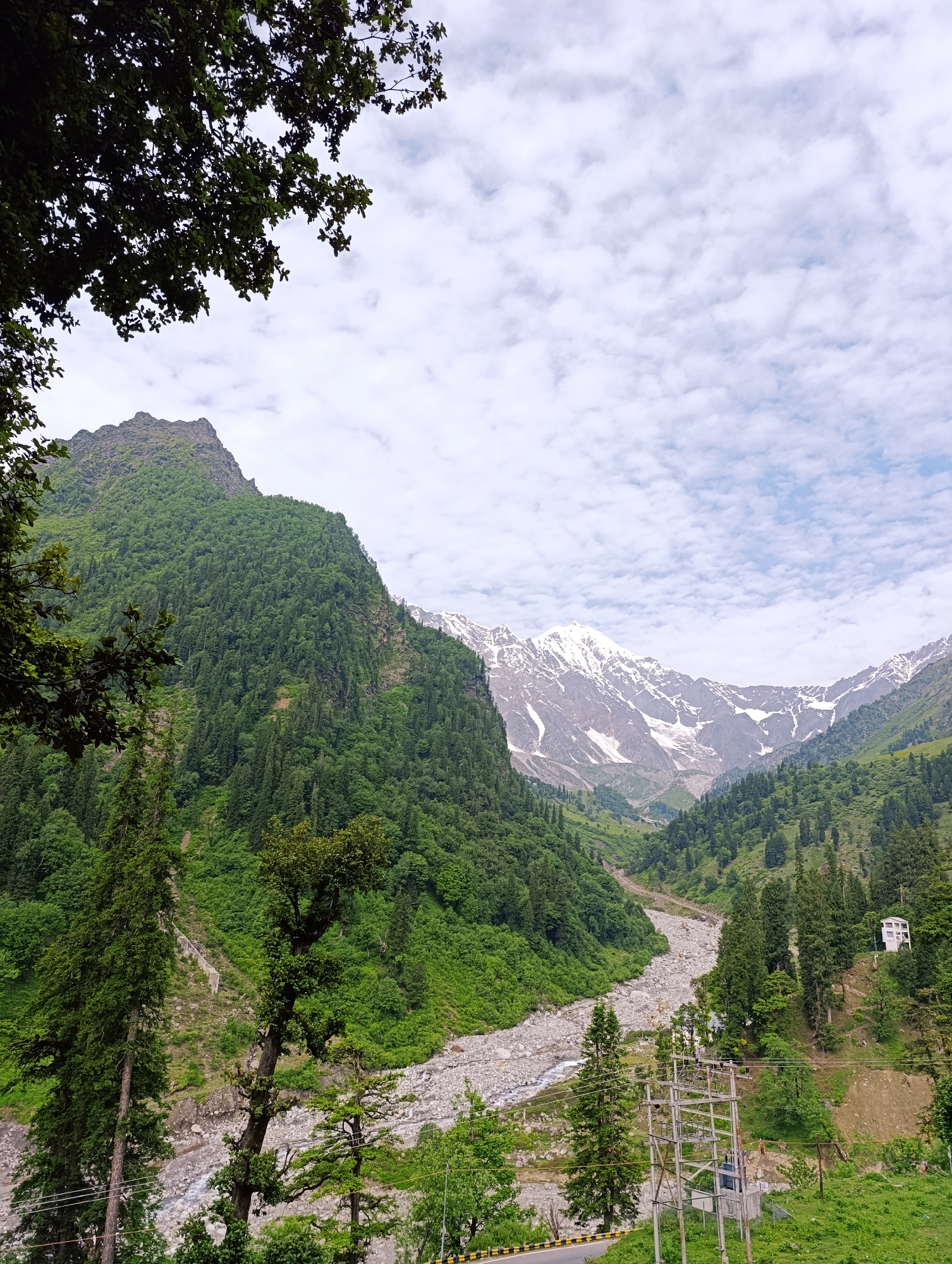 This image depicts a mountainous landscape with a riverbed in Dhundi, India. The foreground features lush green trees, with a prominent dark-leaved tree canopy on the left and a tall, slender pine tree on the right. A rocky riverbed, filled with grey stones and a trickle of water, cuts through the middle ground. The riverbed is flanked by steep, densely forested mountainsides. In the distance, snow-capped peaks rise majestically under a partly cloudy sky. A small white building is visible on the right side of the frame, situated on a hillside. Power lines and poles are present in the lower right section of the image, along with a paved road in the bottom left corner. The overall scene conveys a sense of natural beauty and rugged terrain.