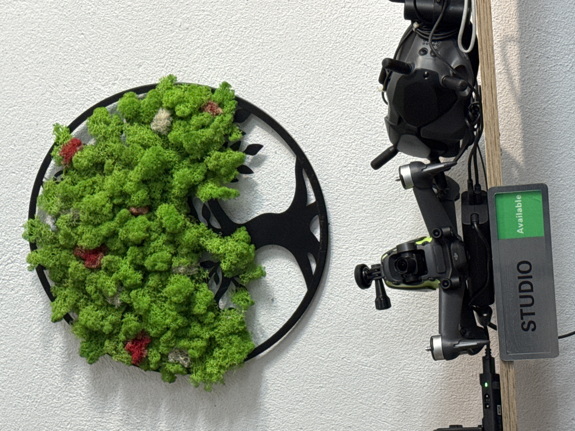 The media file captures an indoor scene featuring a blend of decorative natural elements and advanced technology, against a textured white wall.
On the left, a circular wall hanging presents a stylized black metal frame with intricate cut-outs, resembling a tree or abstract design. This frame is filled with a dense, vibrant green preserved moss, giving it a rich, textured appearance. Scattered throughout the green moss are small patches of red and off-white material, adding subtle pops of color.
To the right, a collection of electronic devices is vertically mounted on a light wooden plank. At the top, a black virtual reality headset, identifiable as DJI FPV Goggles V2, hangs with its lenses facing away and various cables connected. Below the headset, a compact FPV drone camera, likely part of a DJI Avata, is mounted, with its gimbal and lens clearly visible. Numerous black cables connect these devices and are tidily arranged along the wooden plank.
Further down, a rectangular grey panel is attached, featuring green text that reads "Available" at the top and "STUDIO" oriented vertically along its length. The arrangement suggests a dedicated setup for FPV drone flying or virtual reality experiences, possibly in a studio or workspace in Varna, Bulgaria. The moss art provides a natural, biophilic contrast to the high-tech equipment. No activity is taking place; the items are stationary, likely stored or displayed. The lighting is uniform, typical of an indoor environment.