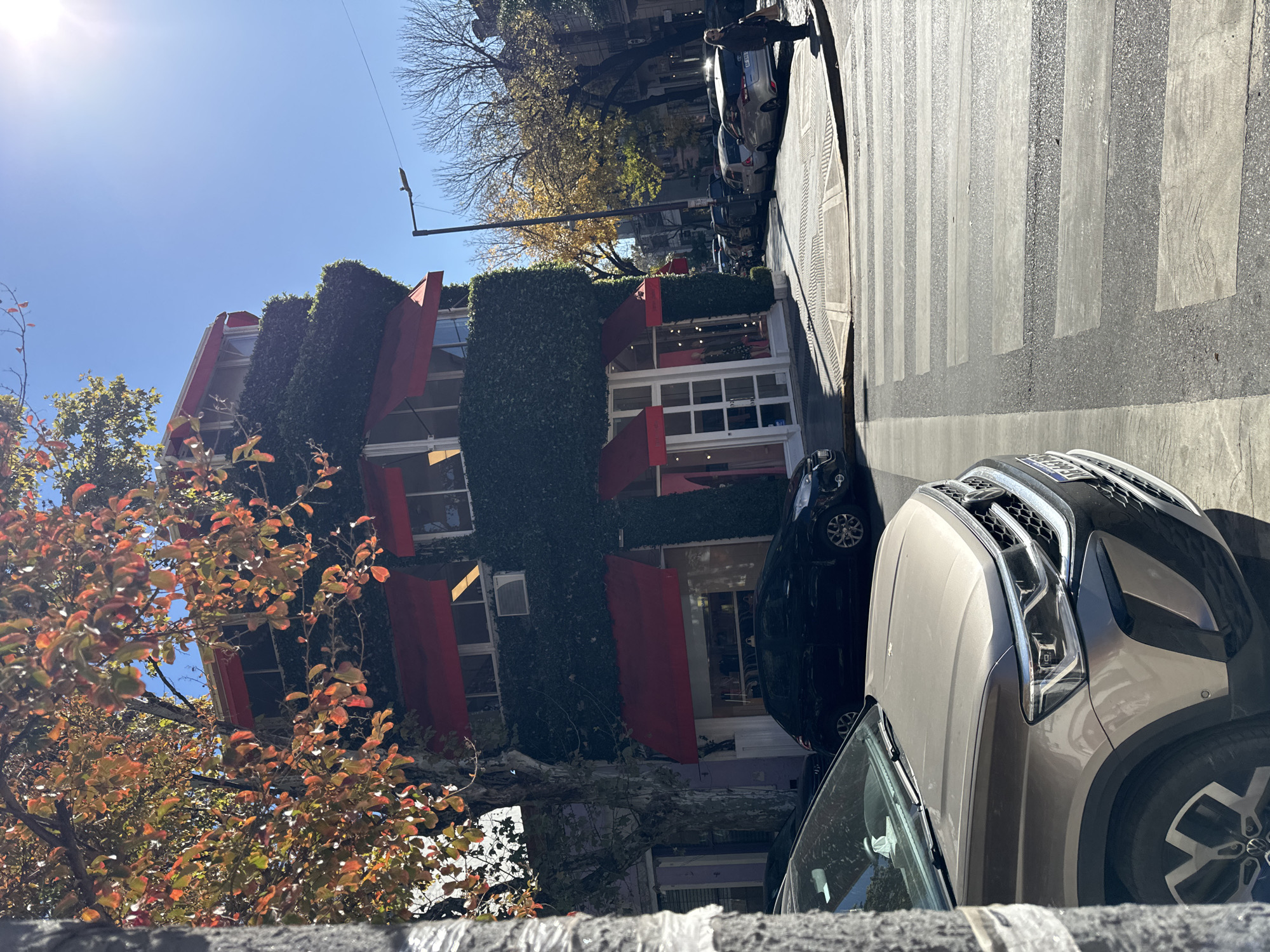A daytime street scene in Buenos Aires, Argentina, features a building almost entirely covered in ivy. The building is four stories high with red awnings over each window and red trim. Sunlight casts shadows on the building. A mature tree with fall foliage partially obscures the building's left side. Cars line the street, with the front of a tan SUV prominent in the foreground. The sidewalk features black and white stripes indicating a crosswalk. A person is visible on the sidewalk further up the street. A streetlamp is visible in the background.
