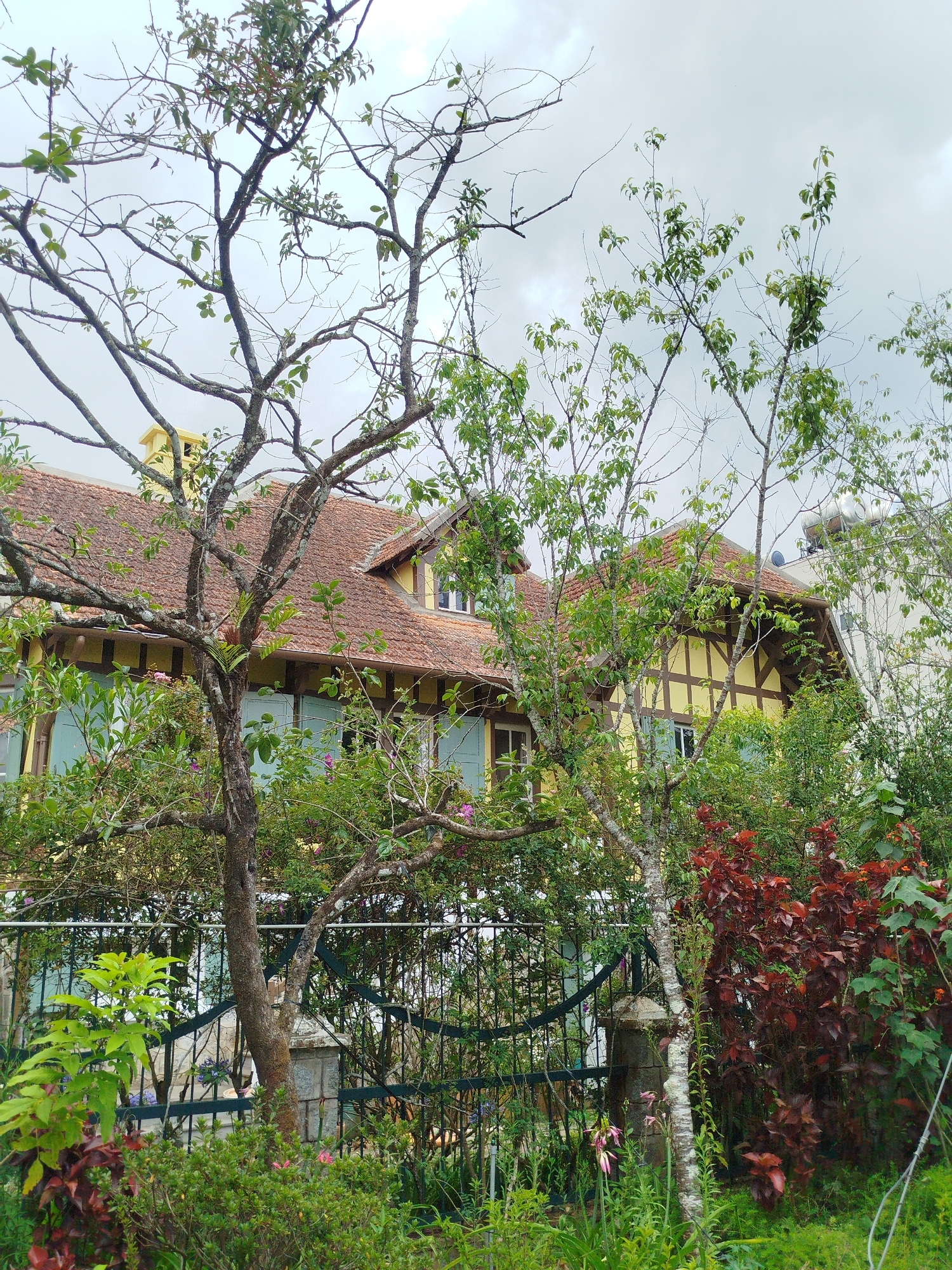 The image depicts a quaint, yellow, half-timbered house with a terracotta tile roof in Da Lat, Vietnam. The house features light blue shutters and is partially obscured by lush greenery including trees and flowering bushes. A dark metal fence runs along the property line, further screened by vegetation. Overcast sky. A yellow chimney is visible on the left side of the house. In the background to the right of the house, a portion of a modern building with a satellite dish and solar water heater on the roof is visible.