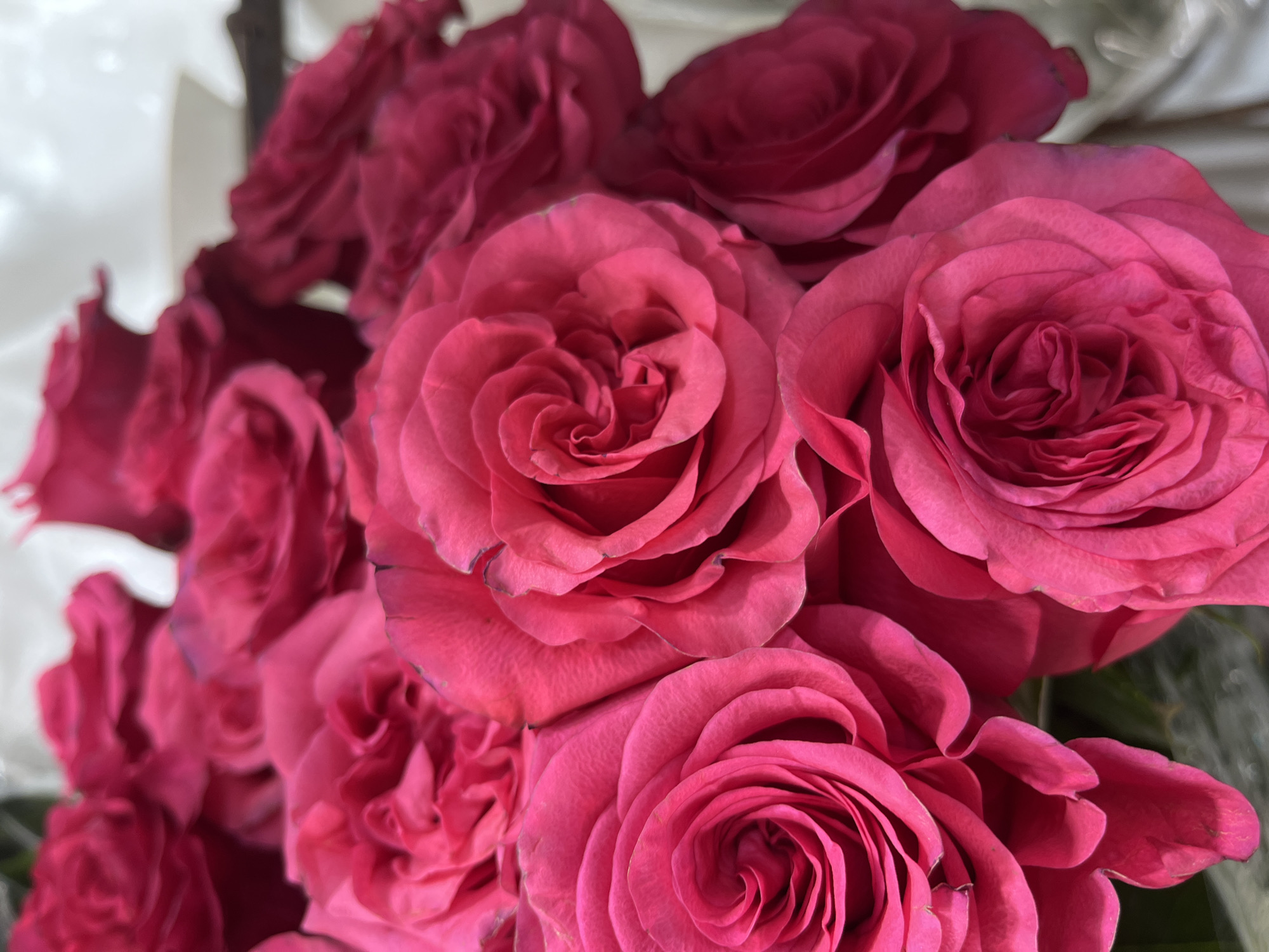 A close-up shot captures a bouquet of vibrant pink roses, their velvety petals unfurling in full bloom. The roses are arranged in a tight cluster, filling the frame with their rich color and intricate textures. The lighting highlights the delicate curves of each petal, creating a sense of depth and dimension. The background is softly blurred, suggesting a simple, unobtrusive setting that allows the beauty of the roses to take center stage.