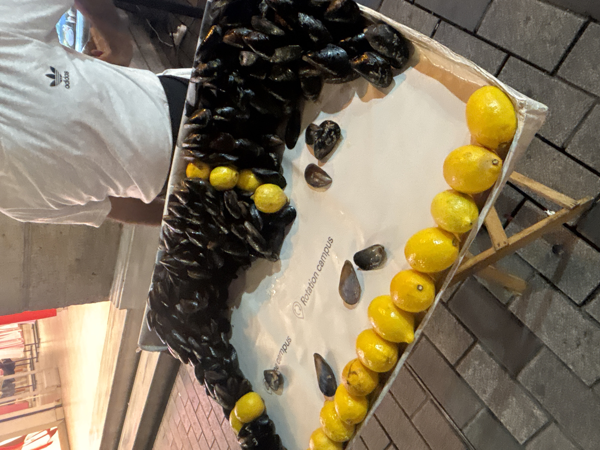 A display of fresh mussels and lemons is set up on a white sheet spread over a tray. The mussels are dark and numerous, arranged in a flowing pattern that curves across the left side of the display. Scattered among them, and also in a neat row down the right side of the tray, are several bright yellow lemons. Some individual mussels are also placed on the white sheet away from the main pile. The scene appears to be outdoors, with a textured, brick-like pavement visible in the background. A wooden stand supports one side of the tray. A person wearing a white t-shirt with an Adidas logo is partially visible on the left, suggesting a street-side vendor or market stall. The lighting indicates it is likely evening or nighttime. The text "Rotation campus" is visible printed on the white sheet in a grey, cursive font. The overall impression is a vibrant street food display, likely in a bustling urban area.