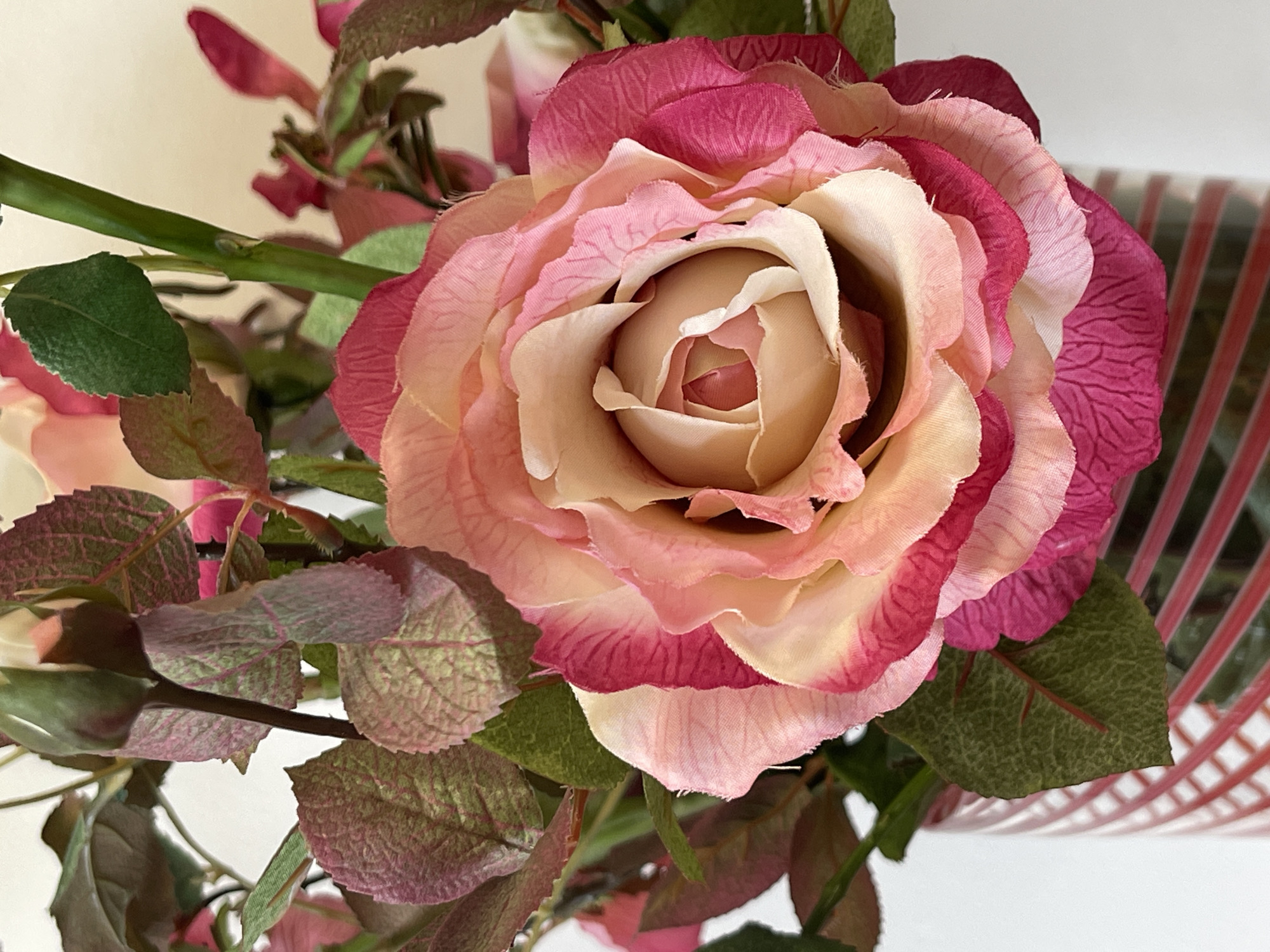 A close-up, eye-level shot showcases a vibrant artificial rose, its petals transitioning from a soft cream at the center to a deep fuchsia at the edges. The rose is nestled among dark green and purplish-red artificial leaves and stems, and the lower portion of the image reveals a portion of a clear glass vase with red and white diagonal stripes. The background is a plain, off-white. The image is a still life of flowers in a vase, with no people or specific location discernible.