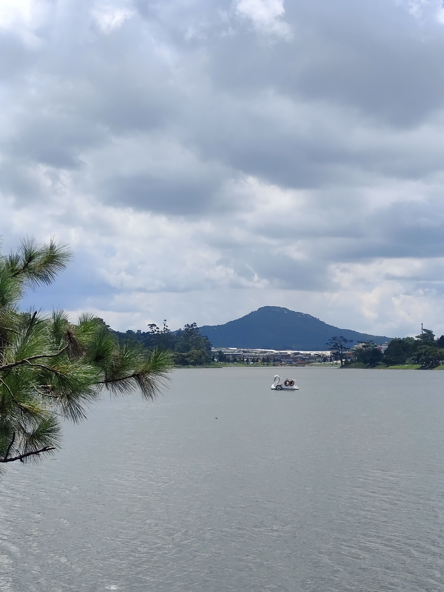 The image depicts Xuan Huong Lake in Da Lat, Vietnam, under a cloudy sky. In the foreground, a pine branch extends into the frame from the left. The lake occupies the majority of the midground and foreground, with a white swan-shaped pedal boat with two occupants visible in the distance. The background features a lush, tree-covered mountain range with a town or city built along its base, characterized by buildings and structures. The overall atmosphere is tranquil and serene, indicative of a natural landscape setting within an urban environment.