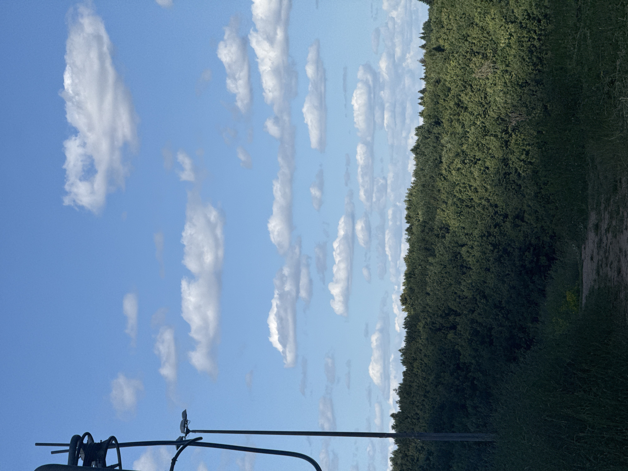 The image depicts a rural landscape under a partly cloudy sky. The scene is oriented vertically, with the sky occupying the left half and a dense, dark green forest lining the right half. Scattered white cumulus clouds are visible against the bright blue sky. In the foreground, a portion of a black metal structure, possibly part of agricultural equipment or a fence, is visible at the bottom left. The overall impression is of an outdoor setting, likely during the daytime, with clear weather. The density of the forest suggests a natural or semi-wild environment. There are no visible people, text, or specific indications of a particular event taking place. The location context provided is Khimki, Russia, which aligns with a temperate climate and natural landscapes.
