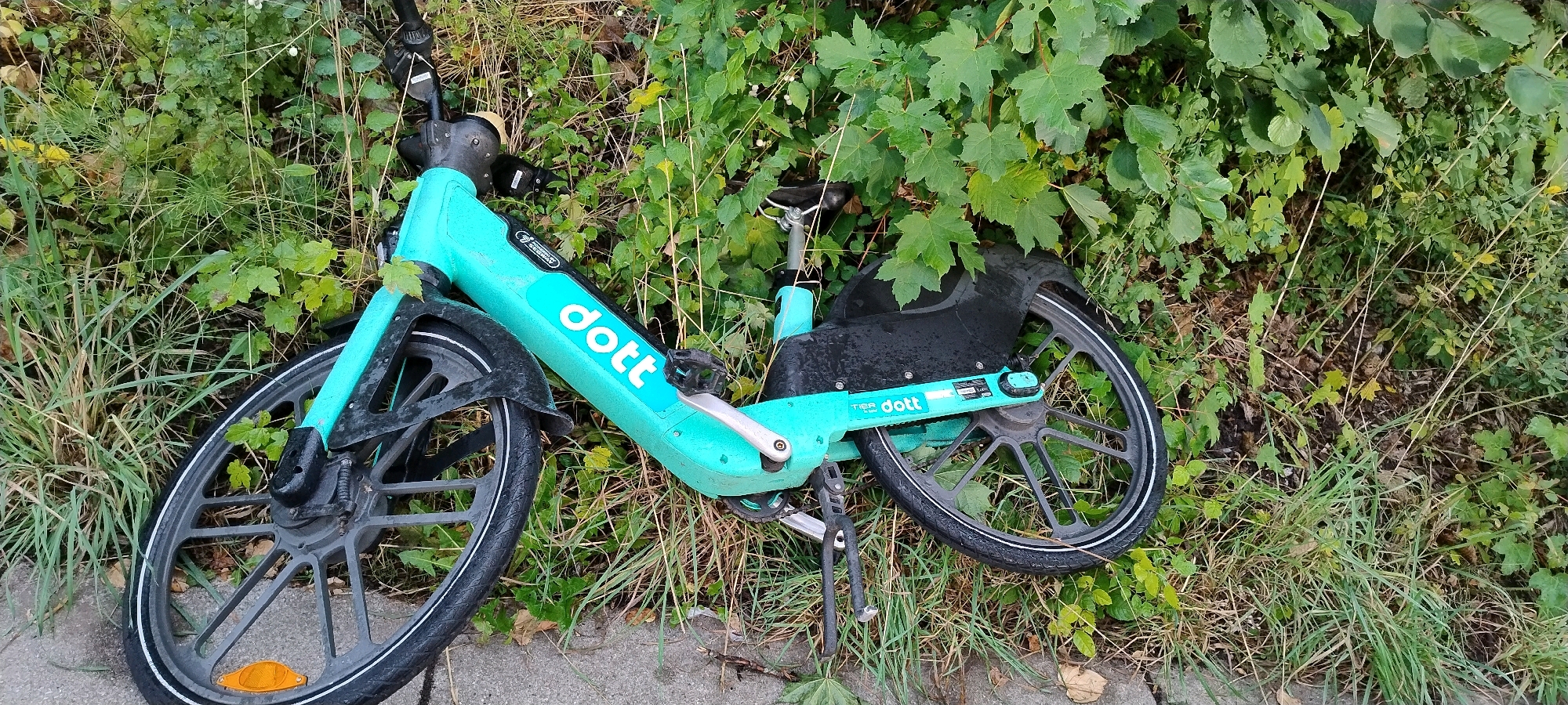 A turquoise electric bicycle, identified by the "dott" logo, lies on its side amidst overgrown grass and foliage. The bicycle appears abandoned, with its kickstand deployed. The environment suggests an outdoor, unkempt area, possibly a park or verge. The bicycle is the primary subject, situated in the foreground and taking up a significant portion of the frame. The background consists of dense green vegetation. There are no people visible in the image. The scene is static, with no apparent action or interaction. The overall impression is one of disuse and neglect. The location is identified as Ishøj, Denmark.