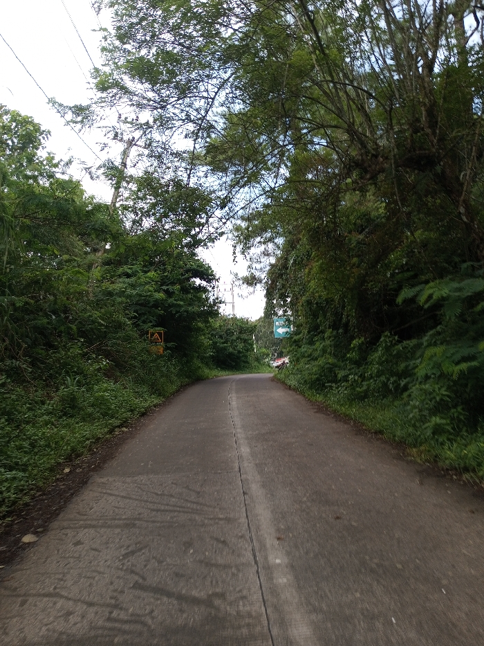 The image displays a narrow, paved road in Ariyalai, Sri Lanka, curving gently from the foreground into the distance. The road surface is grey asphalt or concrete with a faint, worn white center line. Dense, green tropical foliage borders both sides of the road, forming a natural canopy overhead, partially obscuring the sky. On the left side of the road, a yellow rectangular warning sign with a black border and a black triangular symbol is visible amidst the undergrowth. Further down the road on the right, a blue directional sign with a white left-pointing arrow and white text is discernible. Overhead utility lines and poles are present on the left side, extending into the background above the tree line. The scene is devoid of people, animals, or active vehicles.