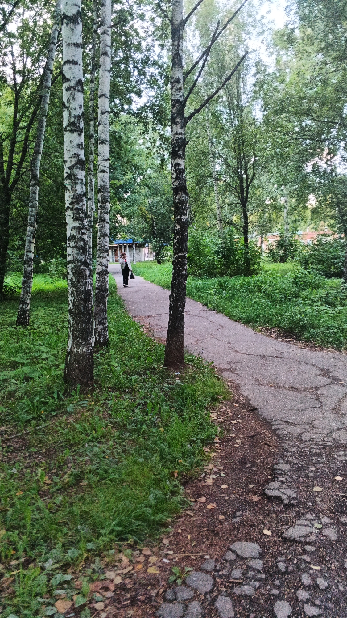 A paved path curves through a park lined with birch trees and lush green foliage. A single person, viewed from behind, walks away from the camera down the path, carrying a dark bag over their shoulder. The path is weathered and cracked in places, with dry leaves scattered along its edges. In the background, a building with a blue roof and white walls is partially visible through the trees. The scene is overcast and the lighting is subdued. The location is the Izhevsk Botanical Garden, a preserved natural area within the city of Izhevsk, Russia.
