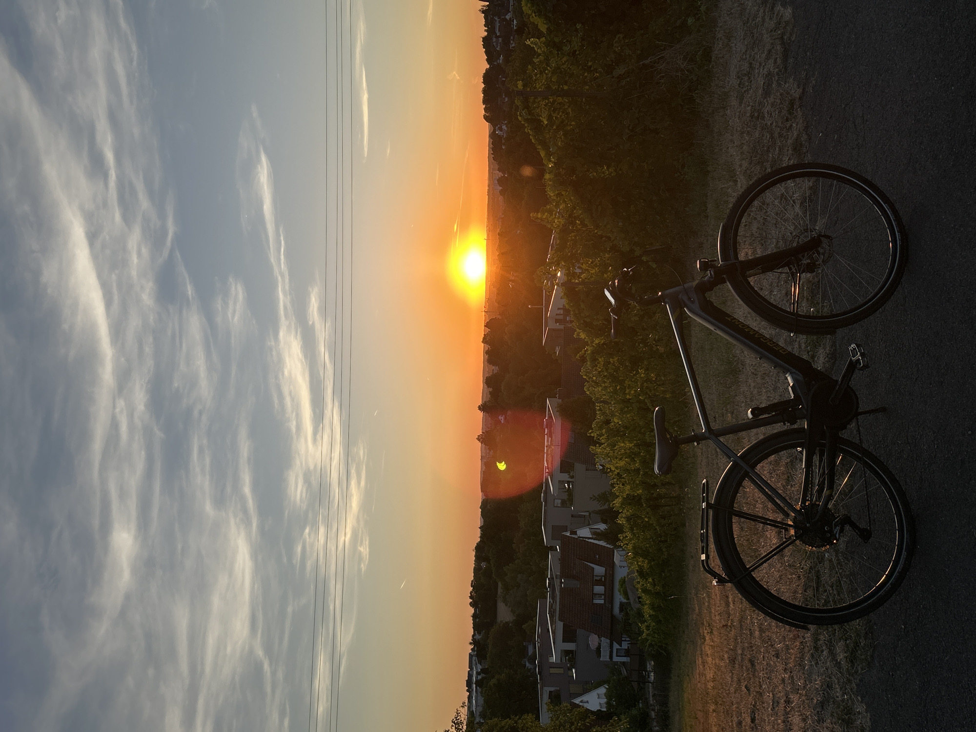 This is a photograph of a bicycle parked on a paved path next to a field and a vineyard at sunset. The sun is low on the horizon, casting a warm, orange glow across the sky and landscape. Wispy clouds are visible in the blue sky to the left, contrasting with the vibrant sunset colors on the right.
The bicycle is dark colored and appears to be a hybrid or touring bike, with a rack on the back. It is positioned at an angle, with the rear wheel in the foreground. The scene includes houses and trees in the middle ground, with a rolling landscape stretching towards the horizon. The time of day is clearly sunset, indicated by the low sun and the gradient of colors in the sky. The weather appears to be clear, with the clouds being thin and high.
There is no visible text in the image. The overall mood is peaceful and serene, evoking a sense of end-of-day tranquility. The sun's glare creates a lens flare effect in the middle of the image. The composition is a landscape orientation, with the horizon running vertically through the image due to the camera being held in portrait mode.