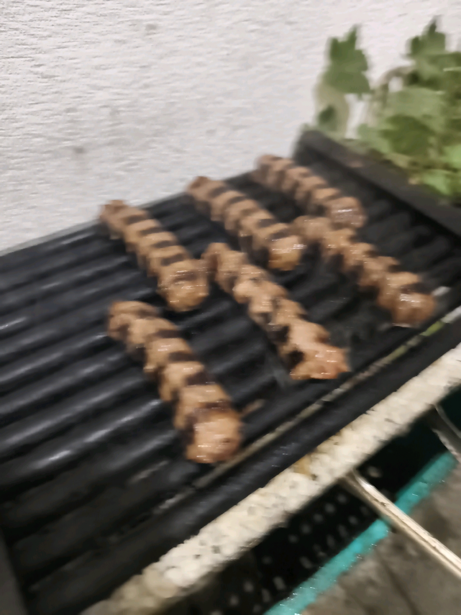 In an outdoor setting, possibly a backyard or patio, several rows of small, grilled meat skewers are arranged on a black grill. The skewers appear to be made of finely ground meat, possibly lamb or beef, and are cooked to a browned exterior with visible grill marks. A pile of green leafy vegetables, likely a garnish or side dish, is visible in the upper right corner of the frame, out of focus. The background consists of a textured, light-colored wall. The overall scene suggests a casual meal preparation or a cooking demonstration.