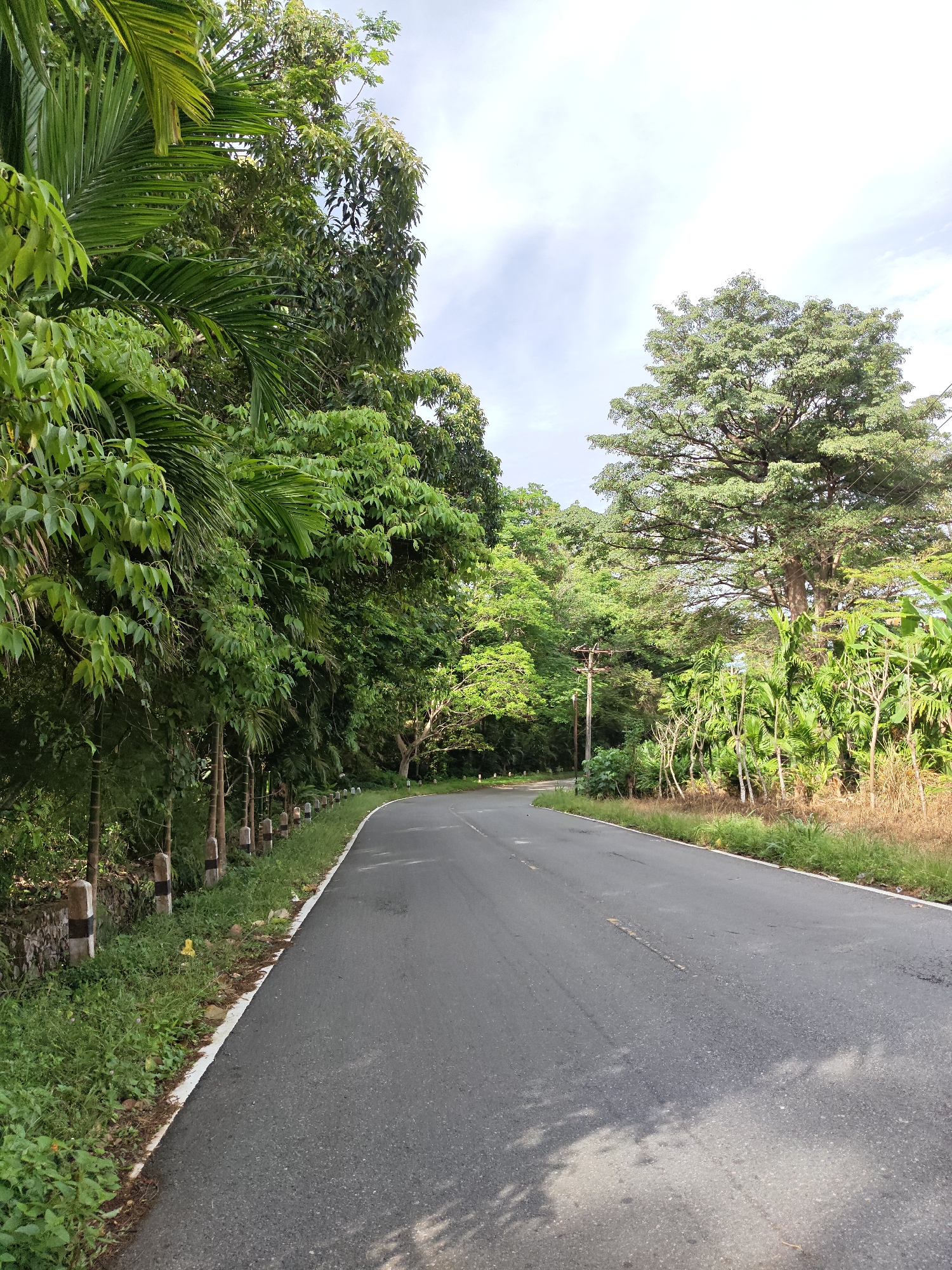 A paved asphalt road winds through a lush, green environment, presumably in a rural area near Unknown, Indonesia. The road's edges are defined by white lines, with foliage and vegetation growing alongside it. The sides of the road are lined with trees, shrubs, and tropical plants. A utility pole is visible along the road, which suggests there may be infrastructure in the area. The sky is partly cloudy.