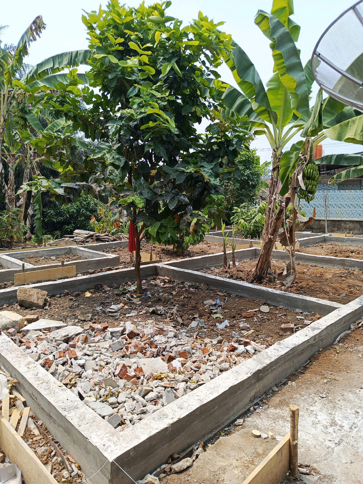 The image depicts a construction site for a building foundation in Megang Sakti I, Indonesia. The foundation is in the early stages of construction, with concrete footings laid out in a rectangular pattern. The ground is a mixture of soil, debris, and construction materials, including broken bricks and concrete. Several trees, including banana trees with developing fruit bunches, are present on the site, with one tree in the center of the foundation area having a red cloth tied to its trunk. In the background, there are glimpses of residential structures, including a blue tiled wall and a satellite dish. The sky is clear and bright, indicating daytime.