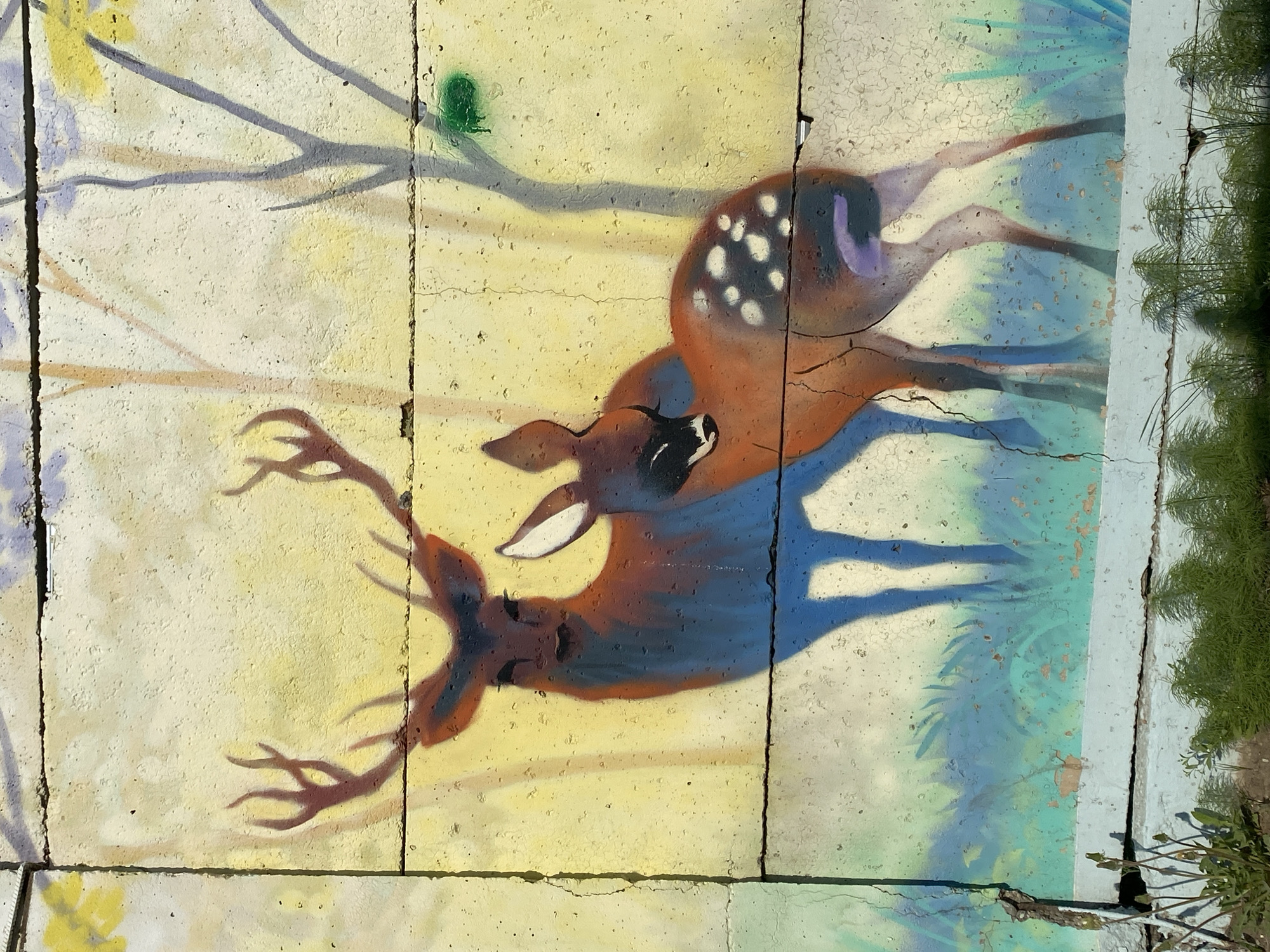 The image shows a mural painted on a concrete wall, depicting two deer. The deer are painted in shades of brown, blue, and white, with one having antlers and the other having white spots. The background of the mural includes a tree branch, greenery, and blue and green hues. The wall is made up of multiple concrete blocks, showing visible cracks and separations between the blocks. A strip of greenery, possibly plants or grass, is visible along the edge of the wall on the right side of the image. The location is Chaikovsky, Russia.