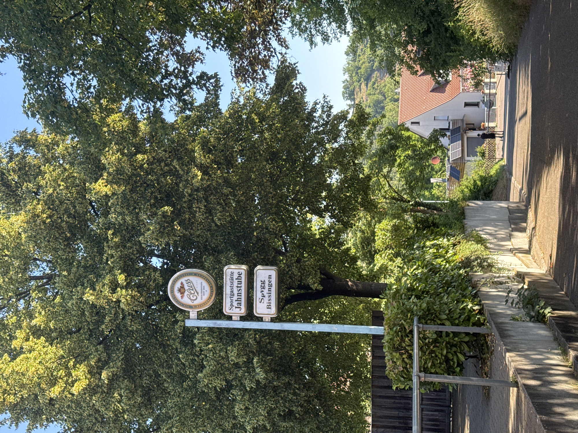 The image shows a street scene in Bietigheim-Bissingen, Germany, on a sunny day. A tall tree with dense green foliage dominates the left side of the frame, partially obscuring the sky. In front of the tree, a blue pole supports a set of signs. The top sign is circular with the logo "Cluss" and text around it, likely advertising a brewery. Below this are two rectangular signs. The first reads "Sportgaststätte Jahnstube," indicating a sports club restaurant. The second sign reads "Sprvg Bissingen," likely referring to the sports club itself.
To the right of the signs, a paved pathway slopes downwards into the distance. A concrete wall runs along the left side of the pathway, with a metal railing on top. Beyond the wall, there is more greenery and a wooden fence. Further down the pathway, a white house with a red-tiled roof is visible, featuring solar panels and a satellite dish. A single person, dressed in dark clothing, stands in front of the house. The environment is characterized by mature trees, well-maintained vegetation, and typical German residential architecture.