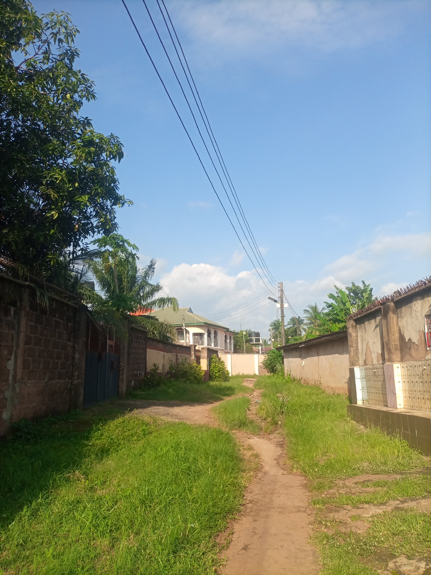 The image captures a sunny day in a residential area in Nkpor, Nigeria. A dirt path winds through lush green grass, leading into the distance. On either side of the path are walls of houses. The wall on the left is made of dark brick and is partially obscured by a large tree with dense foliage. Beyond this wall, a glimpse of a blue gate is visible. The wall on the right is constructed of a lighter colored, weathered material and is topped with sharp, protruding spikes, likely for security.
Further down the path, several houses are visible. On the left, a building with white and cream-colored walls and a green roof stands out. It features arched windows and a balcony. On the right, another house is partially visible, with a patterned facade. Beyond the houses, palm trees and other tropical vegetation can be seen, indicating a warm climate. Overhead, thick black electrical wires stretch across the bright blue sky, which is dotted with scattered white clouds. A wooden utility pole with a street light is also present, suggesting this is a populated area. The overall impression is one of a typical, sunny afternoon in a Nigerian neighborhood, with a sense of everyday life. There is no visible text in the image.