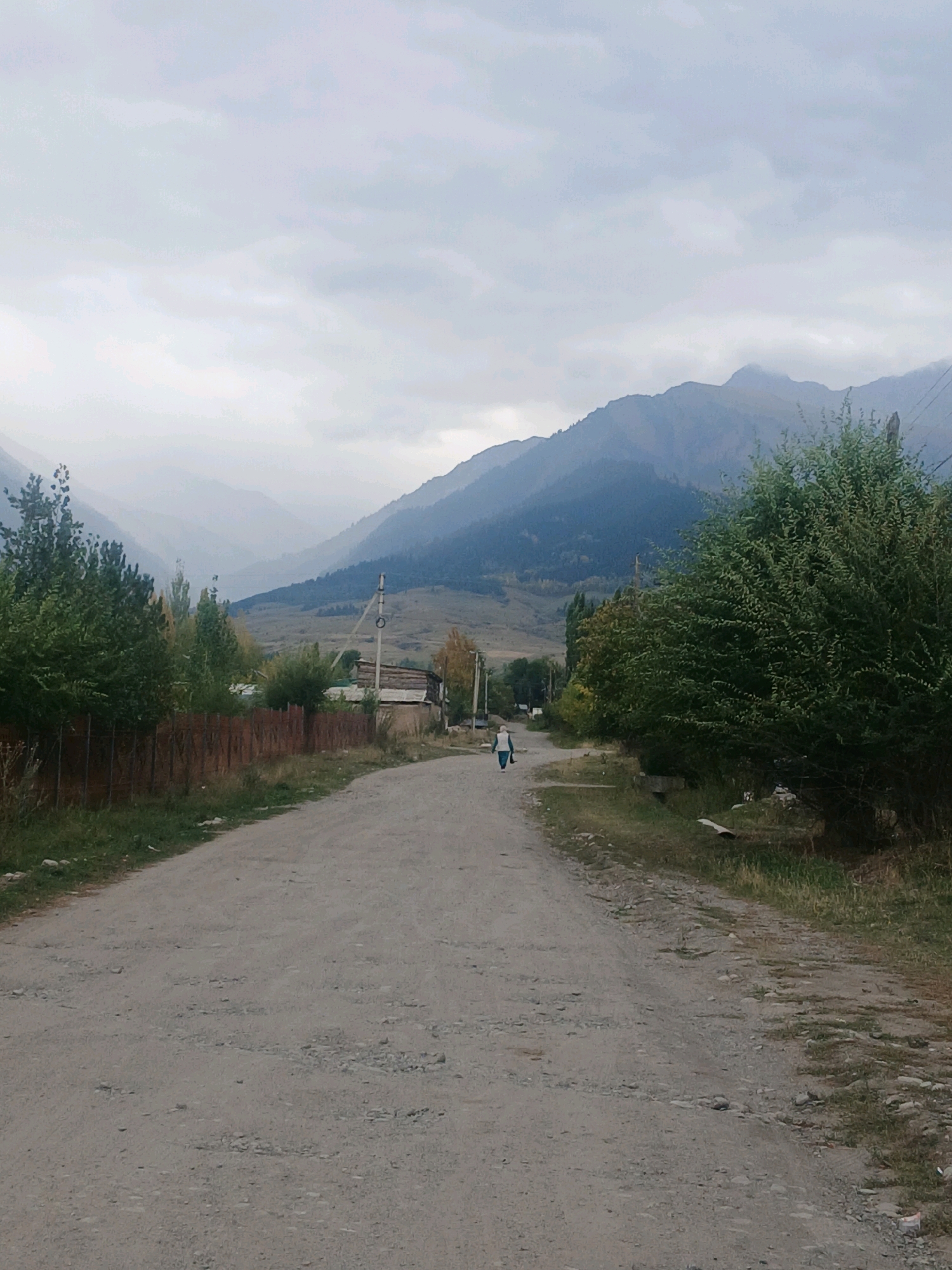 An outdoor, eye-level, full shot depicts a dirt road leading through a rural settlement, potentially Novo-Voznesenovka, Kyrgyzstan, under a cloudy sky. The road is unpaved and shows signs of wear, with gravel and ruts visible. To the left of the road, a brown wooden fence runs along the edge of a grassy area with trees. Several houses and other structures are visible on the right side of the road, appearing to be made of wood and stone. A single person, wearing a light-colored tunic and dark pants, is walking away from the camera on the right side of the road. In the background, layers of mountains fade into the distance, with a dense green tree line in the mid-ground. The overall atmosphere is serene and somewhat muted due to the overcast weather.