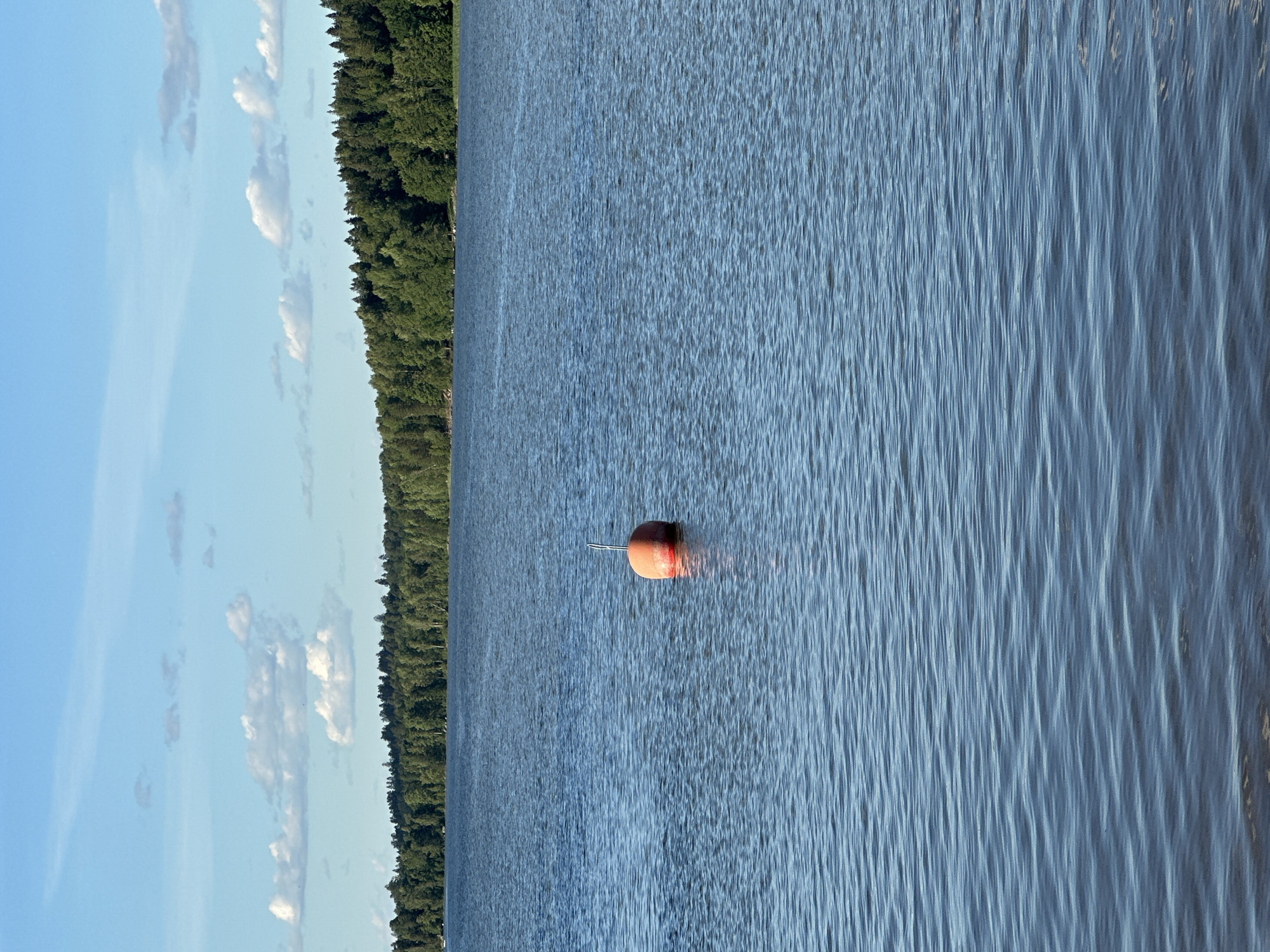 An orange buoy floats on the surface of a blue lake. The lake is surrounded by a dense forest of green trees. The sky above is a clear blue with scattered white clouds. The scene appears peaceful and serene. The location is unknown.